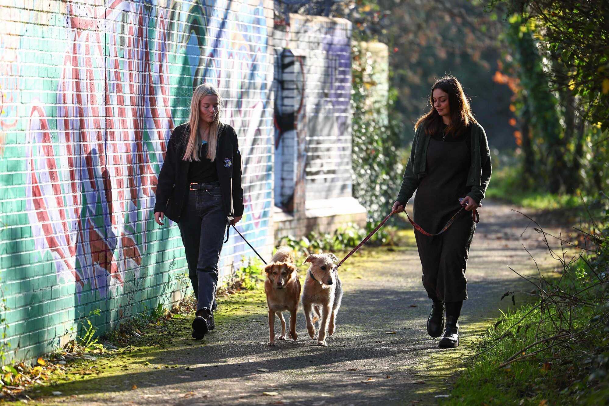 Jodie Bennett (left), community and engagement officer at the Bristol Animal Rescue Centre, walks with her two dogs Alba and Rosie and colleague Abi Oldfield. Photo: AFP