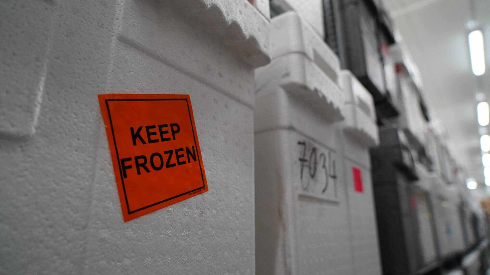 An insulated box containing ice core samples is pictured at the University of Copenhagens ice core repository in Copenhagen, Denmark. Photo: AFP