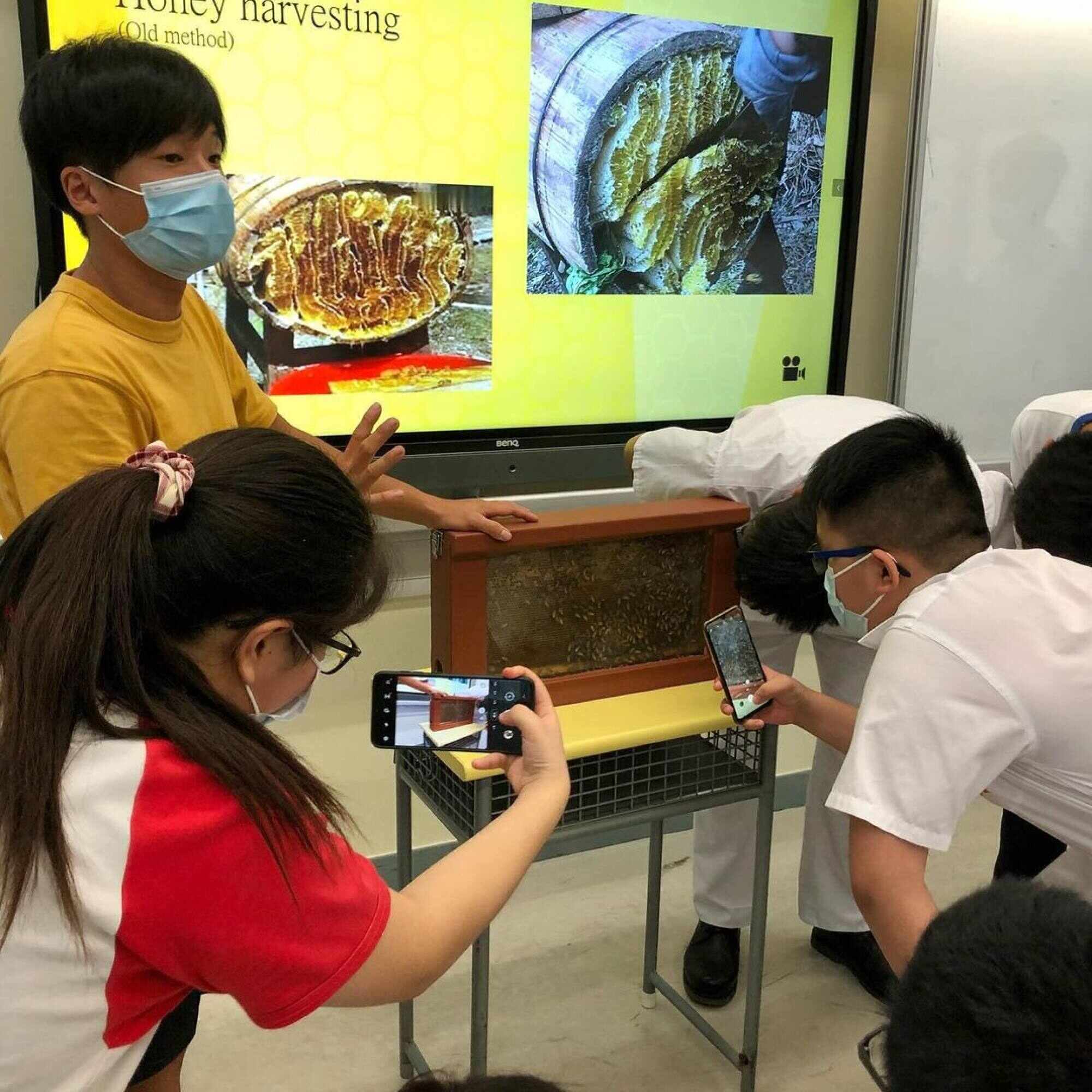 Beetales has held more than 100 educational workshops for Hongkongers to learn about the important roles of bees. Photo: Handout
