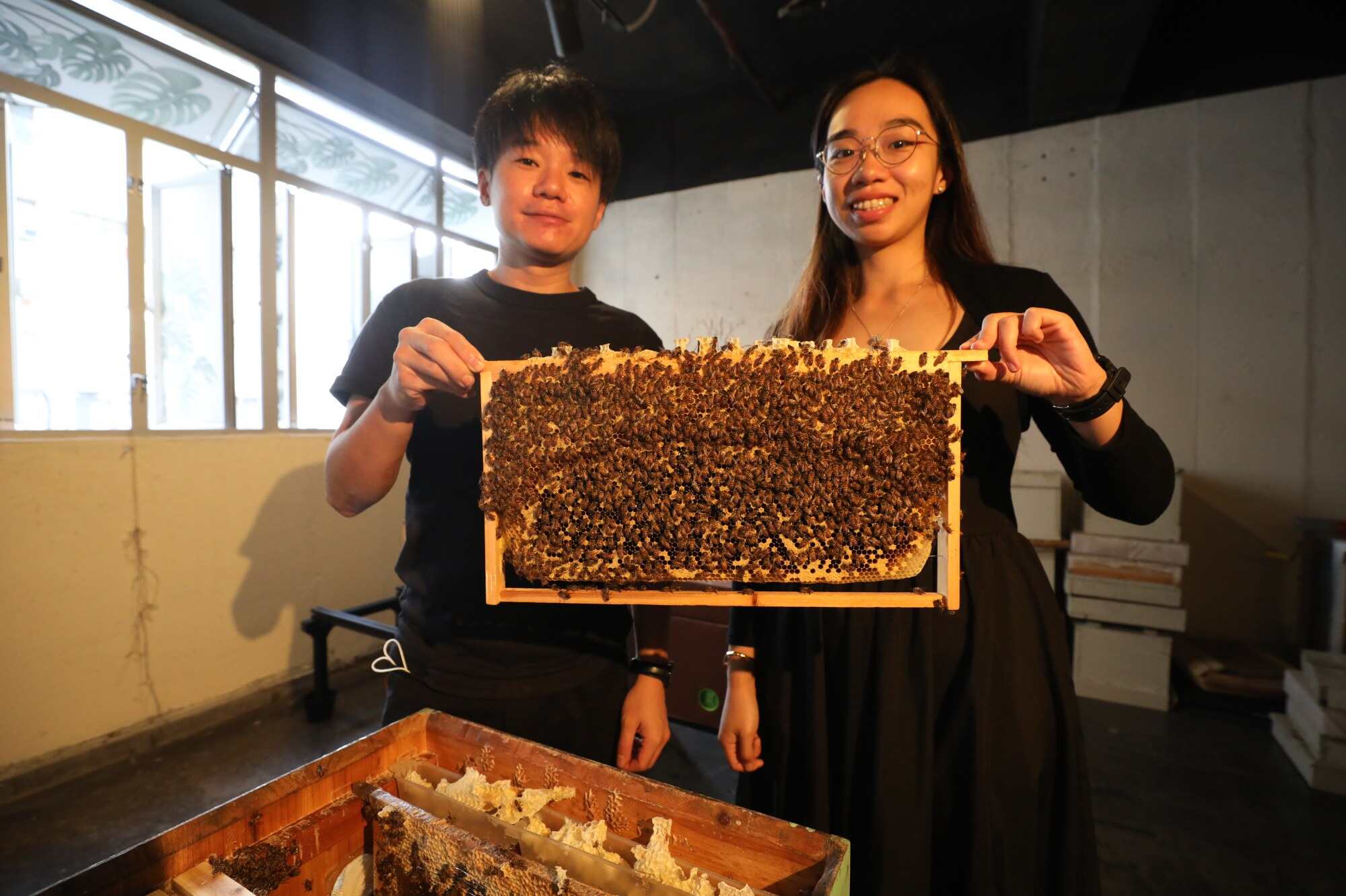 Beetales wants people to know that bees are not dangerous. Photo: Sun Yeung