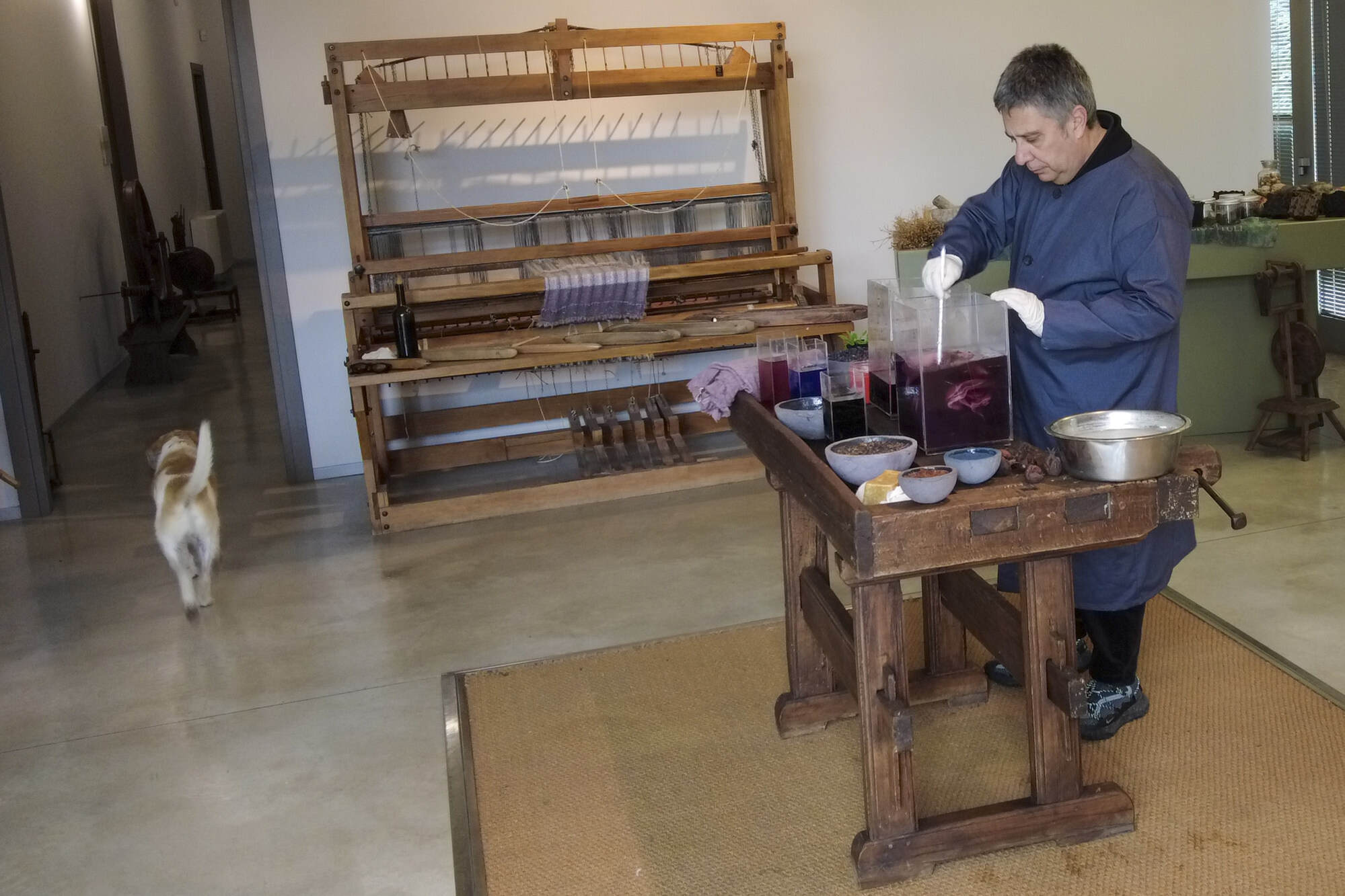 Designer and traditional dyer Claudio Cutuli prepares a rubia tinctorum, rose madder, to make a Pompeii red to dye his own line of clothing. Photo: AP