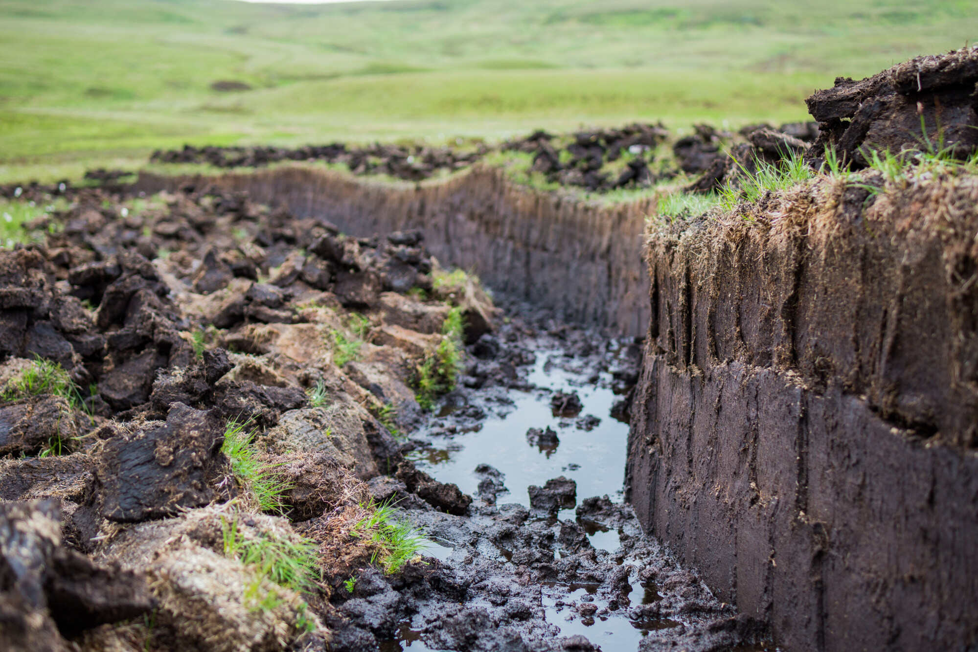 More than 20 per cent of Scotland is peatland but about 80 per cent of it is damaged. Photo: Shutterstock