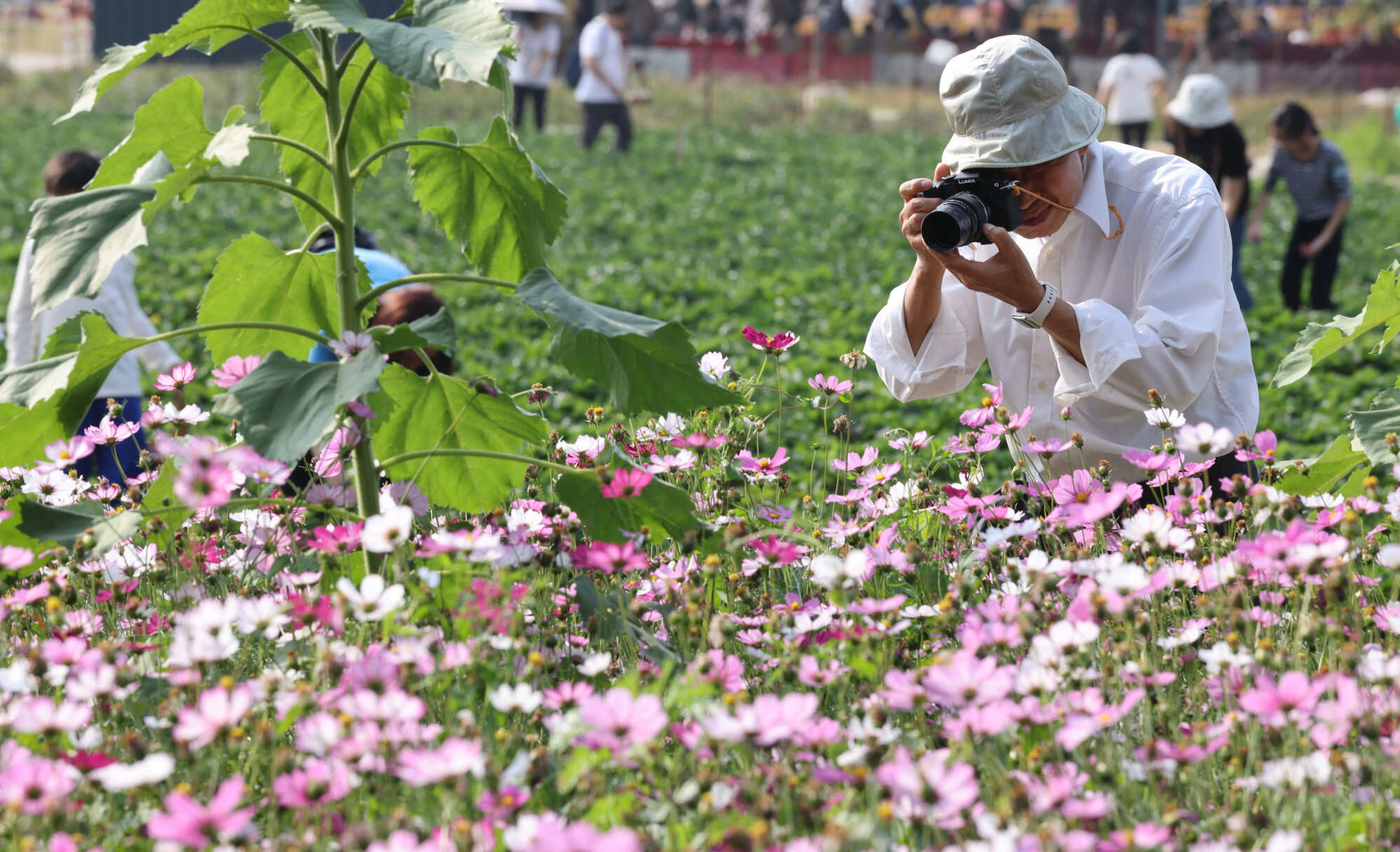There’s a lot to see and do in the New Territories! Photo: Yik Yeung-man