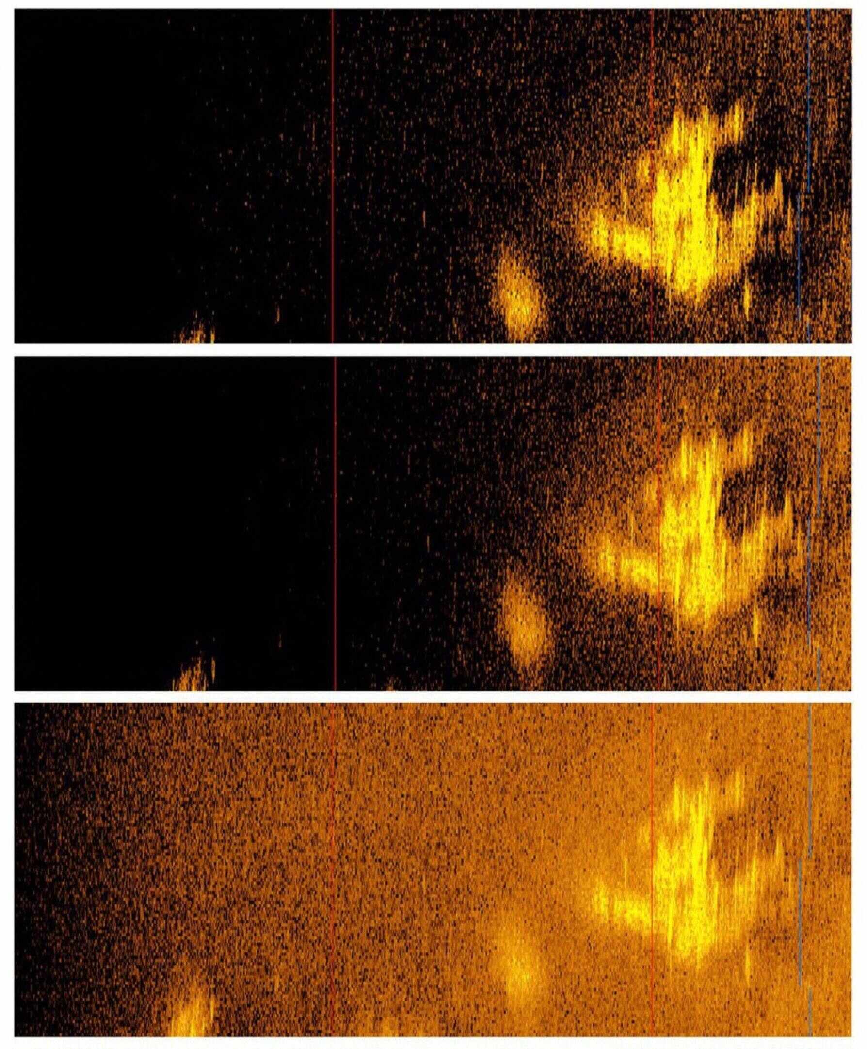 This sonar image shows a a plane-shaped object believed to be Amelia Earharts Lockheed 10-E Electra. Photo: Deep Sea Vision / AFP