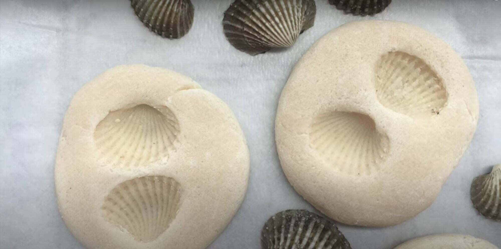 Create your own marine fossils at home. Photo: YouTube / Hungry SciANNtist