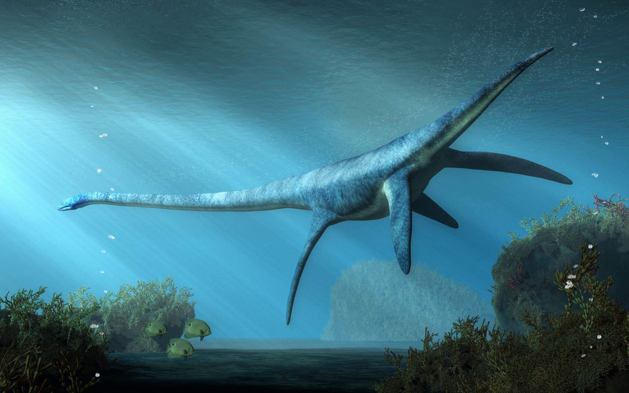 Scientists have found more than 100 different plesiosaur species. Photo: Shutterstock