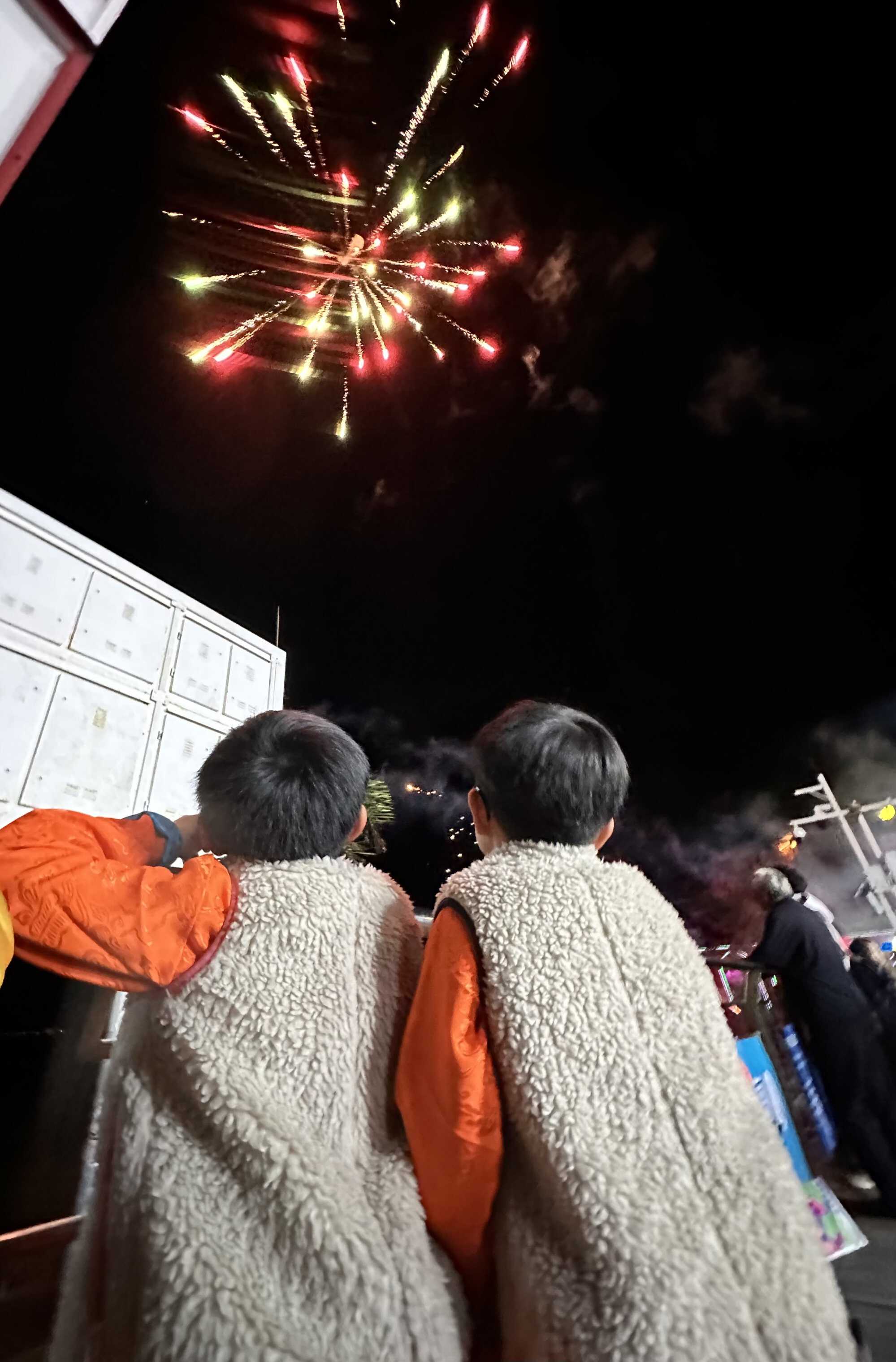 Thyler and Skyler enjoy watching fireworks. Photo: Handout