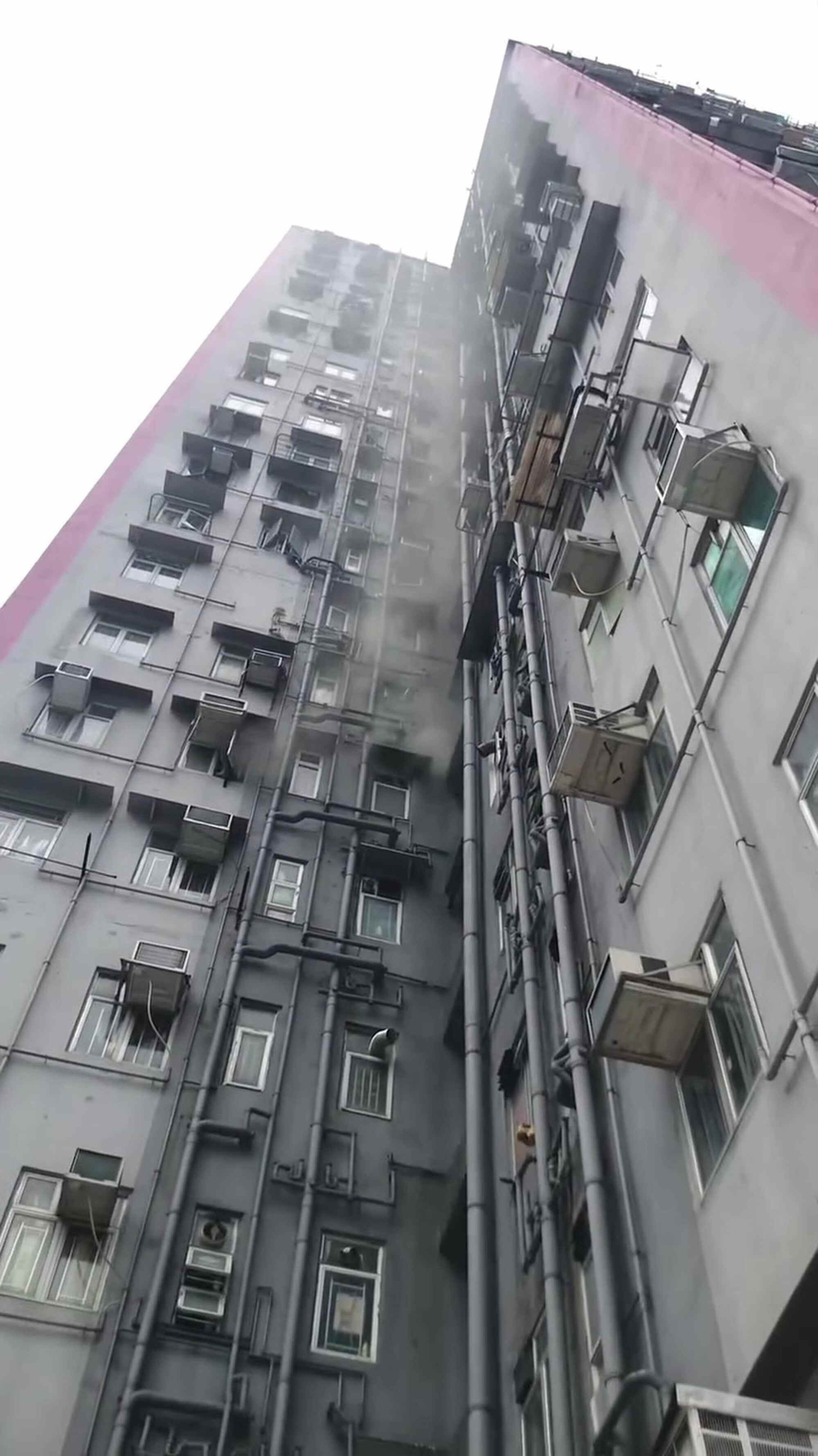 A kitchen extractor hood caught fire, and the blaze spread in the building. Photo: Facebook/HKAnimalPost