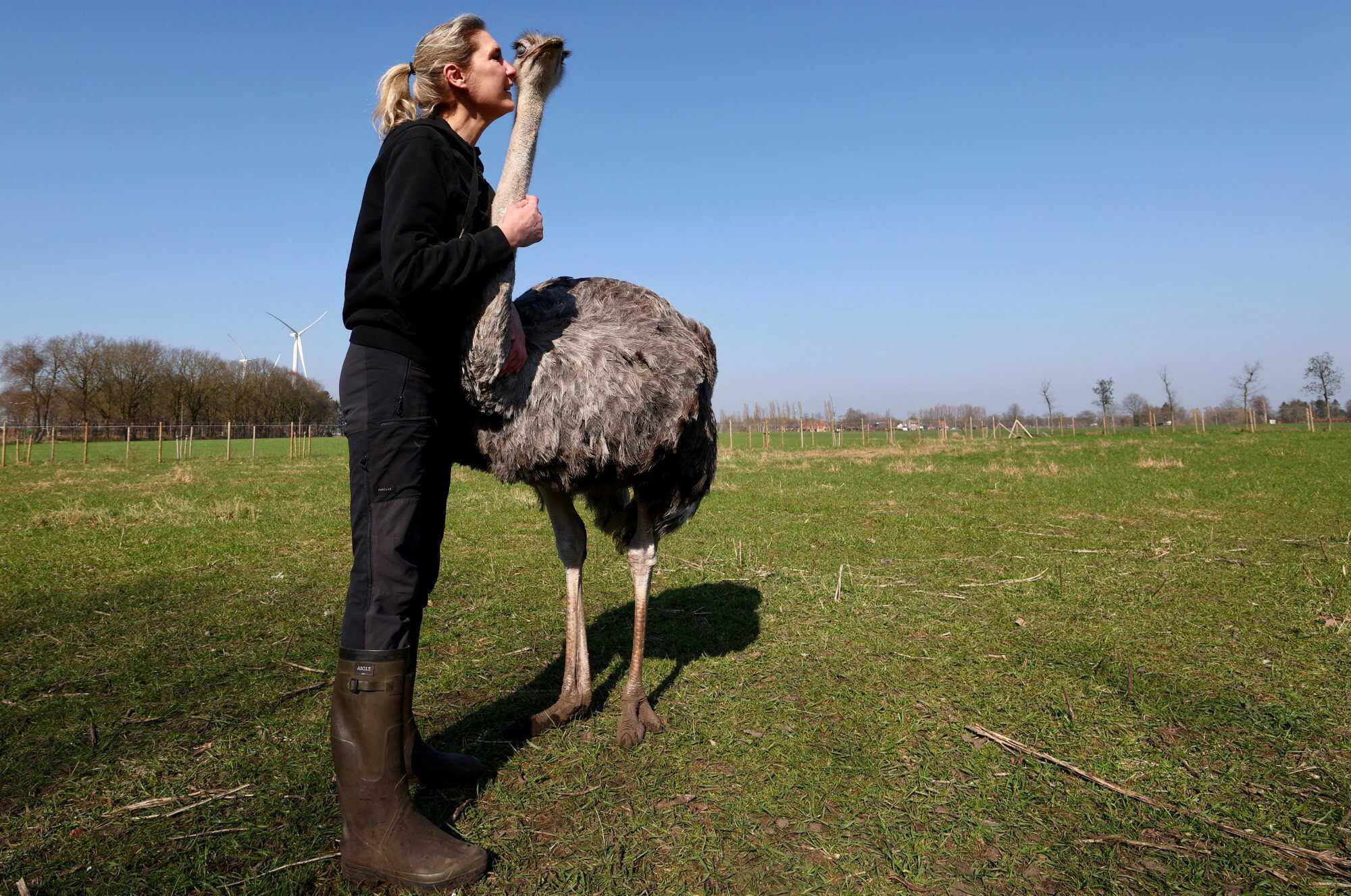 Belgian Wendy Adriaens is the founder of Passiehoeve, an animal rescue farm. Photo: Reuters