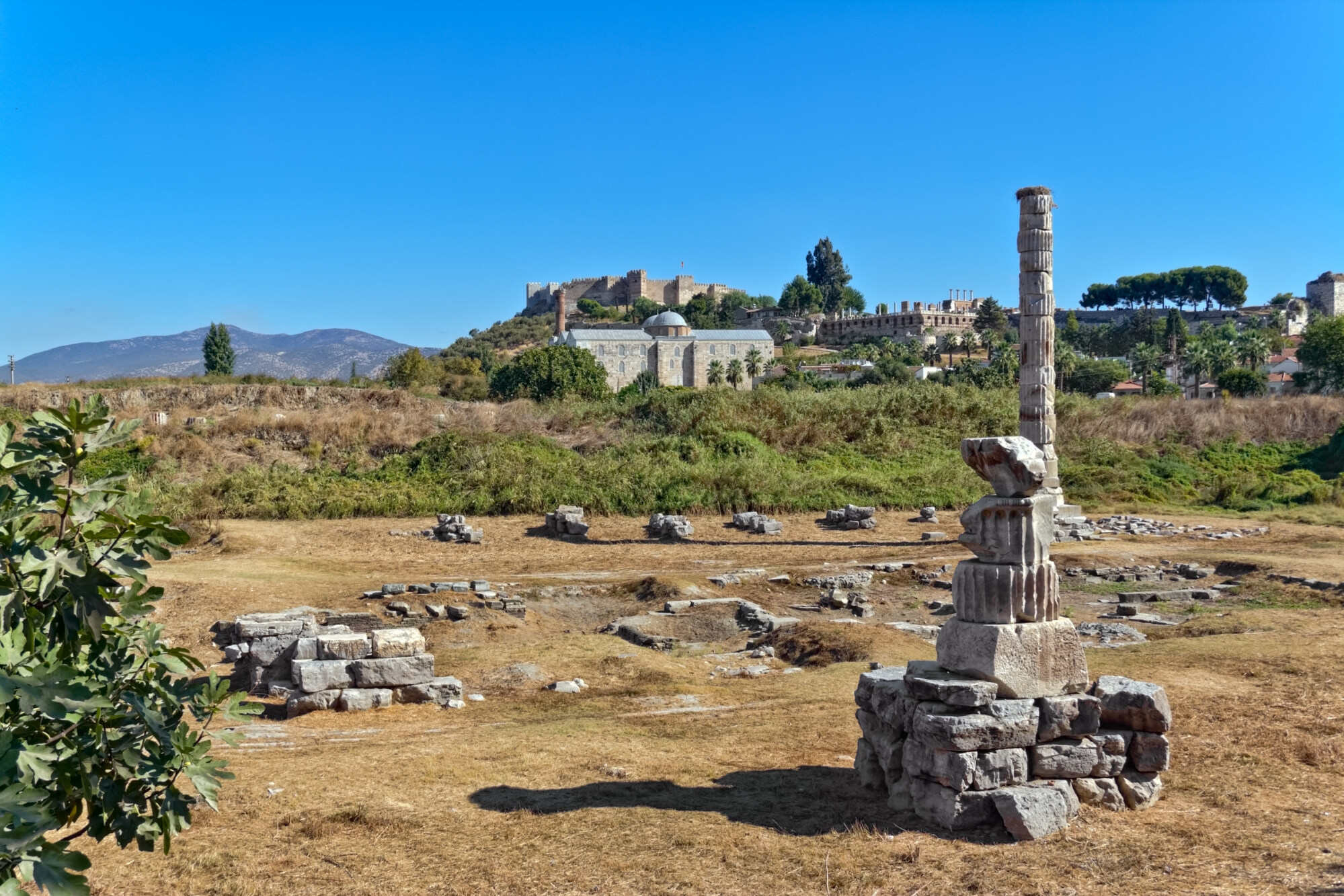 Remains of the Temple of Artemis in Ephesus. Photo: Shutterstock