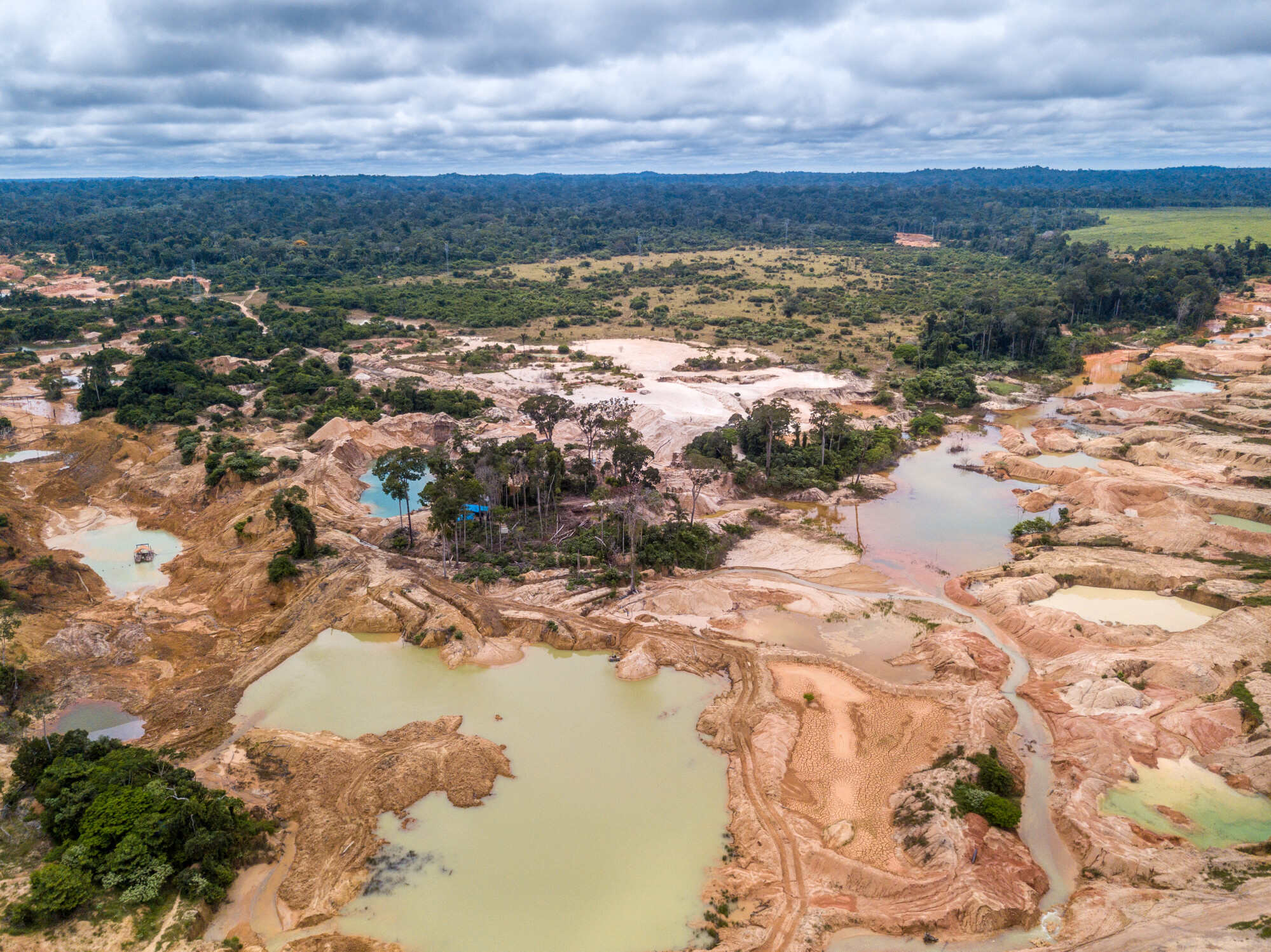 Deforestation in the Amazon rainforest has a catastrophic impact on the world. Photo: Shutterstock