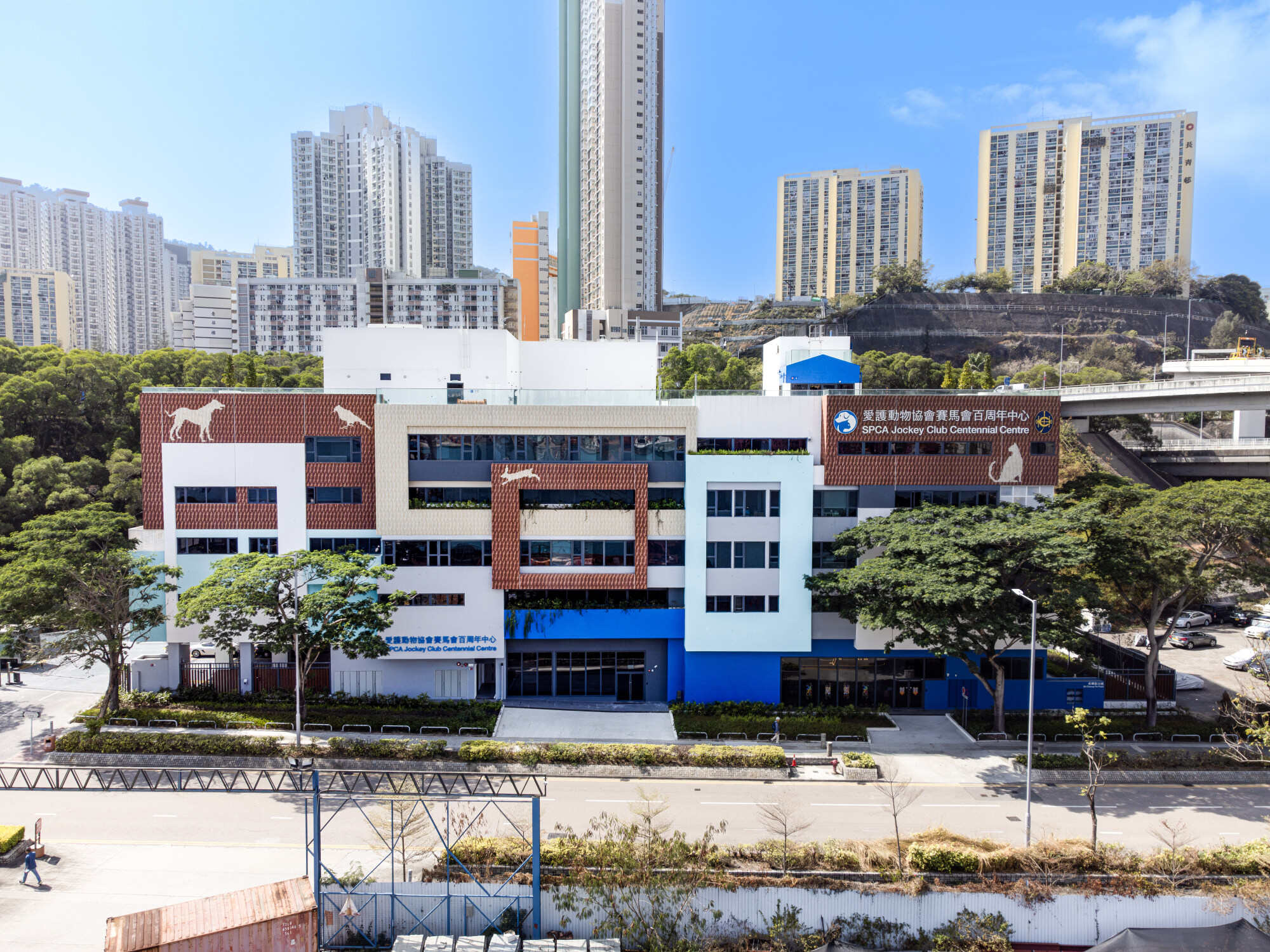 Rescue animals have much more space at the SPCA Jockey Club Centennial Centre in Tsing Yi. Photo: The SPCA Jockey Club Centennial Centre