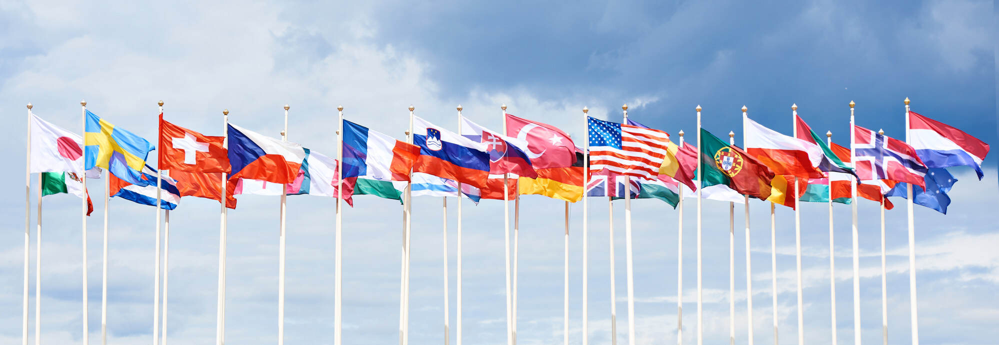 What do these flags have in common? What colours or designs are frequently used? Photo: Shutterstock