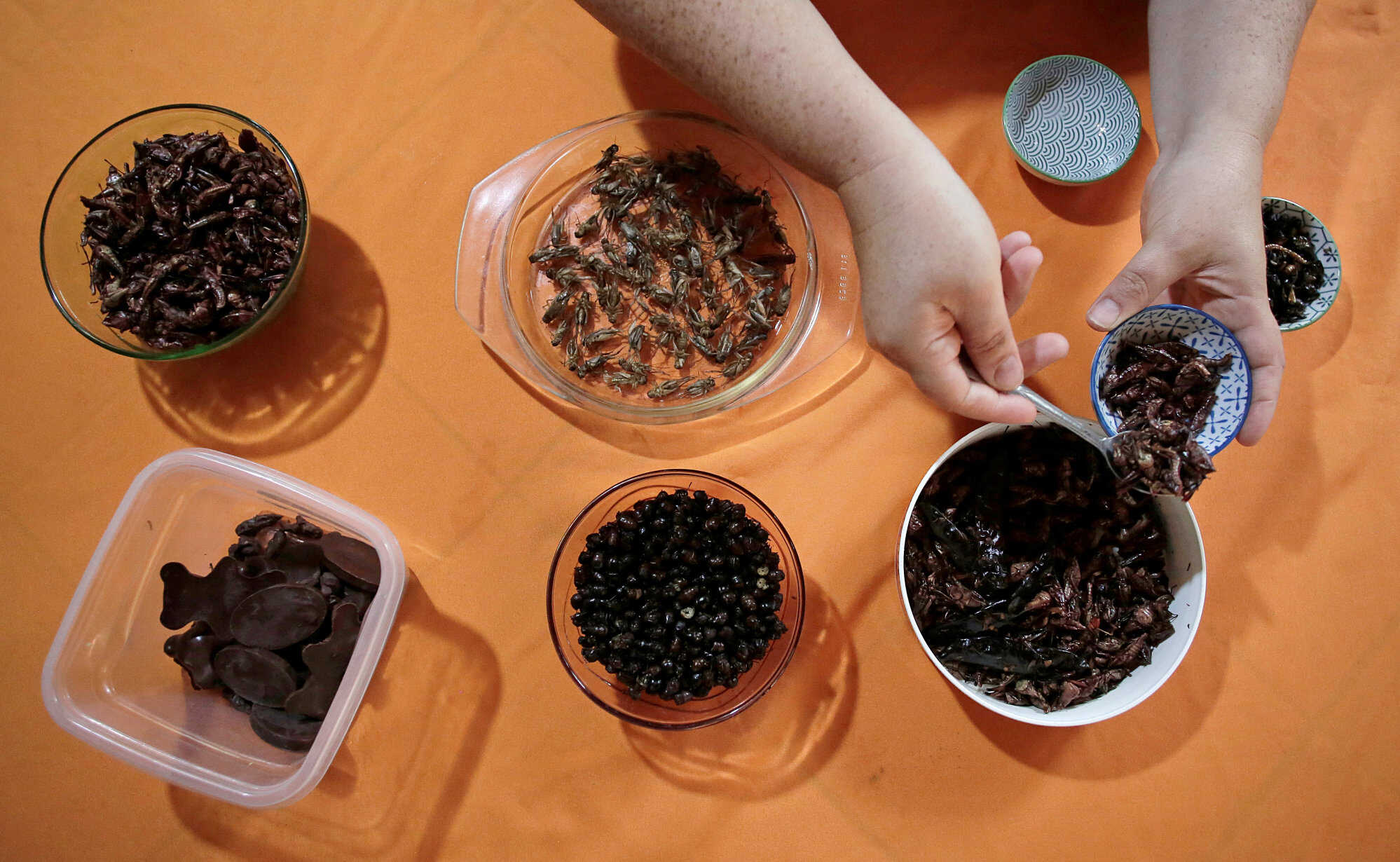 Crickets and other insects have long been enjoyed as street food in other areas of Southeast Asia, but not in Singapore. Photo: Reuters