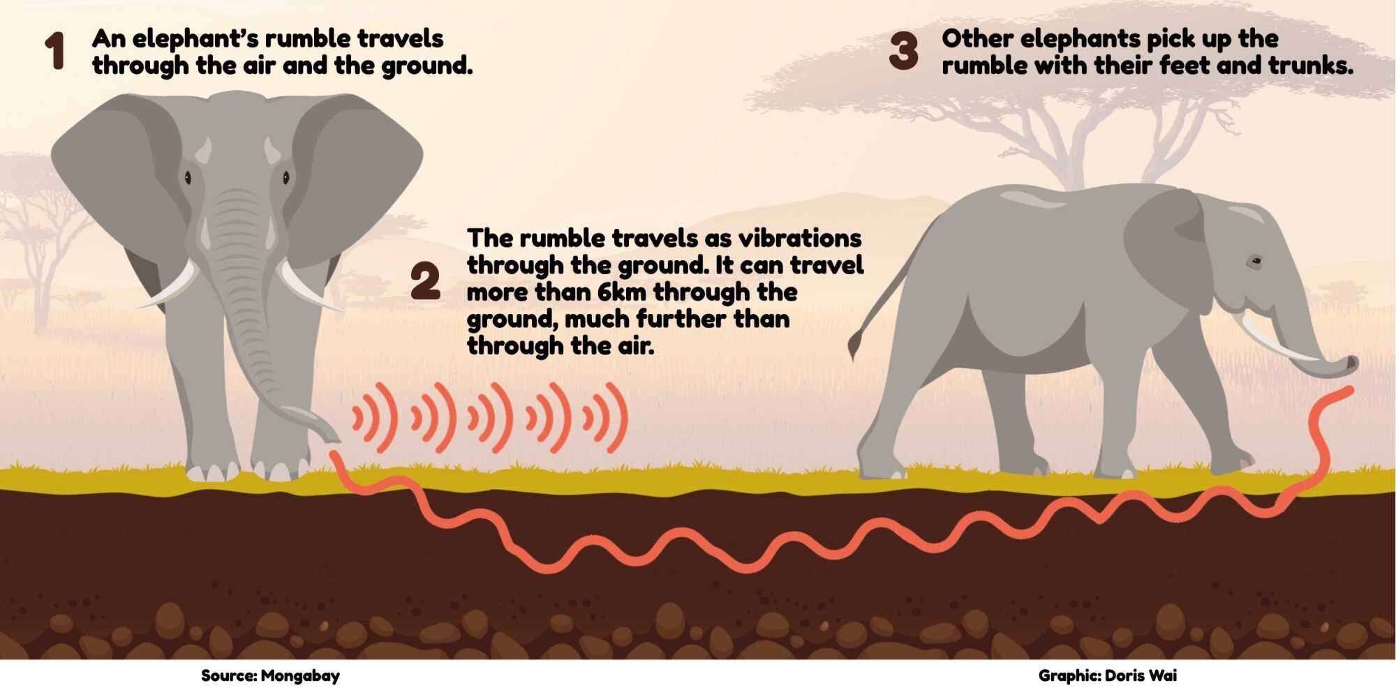 How elephants rumble
