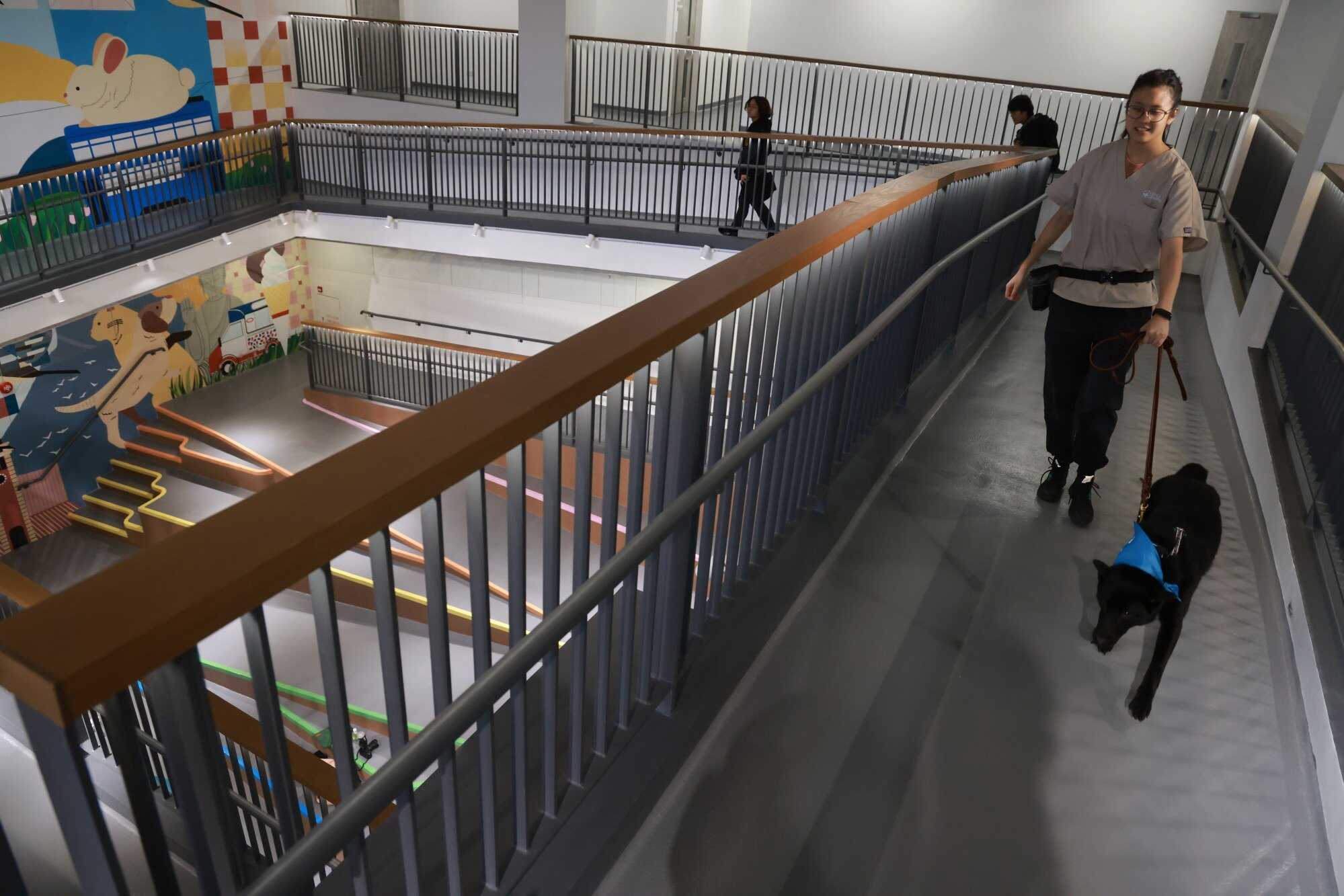 The Tsing Yi centre is a one-stop shop for animal care. Photo: May Tse