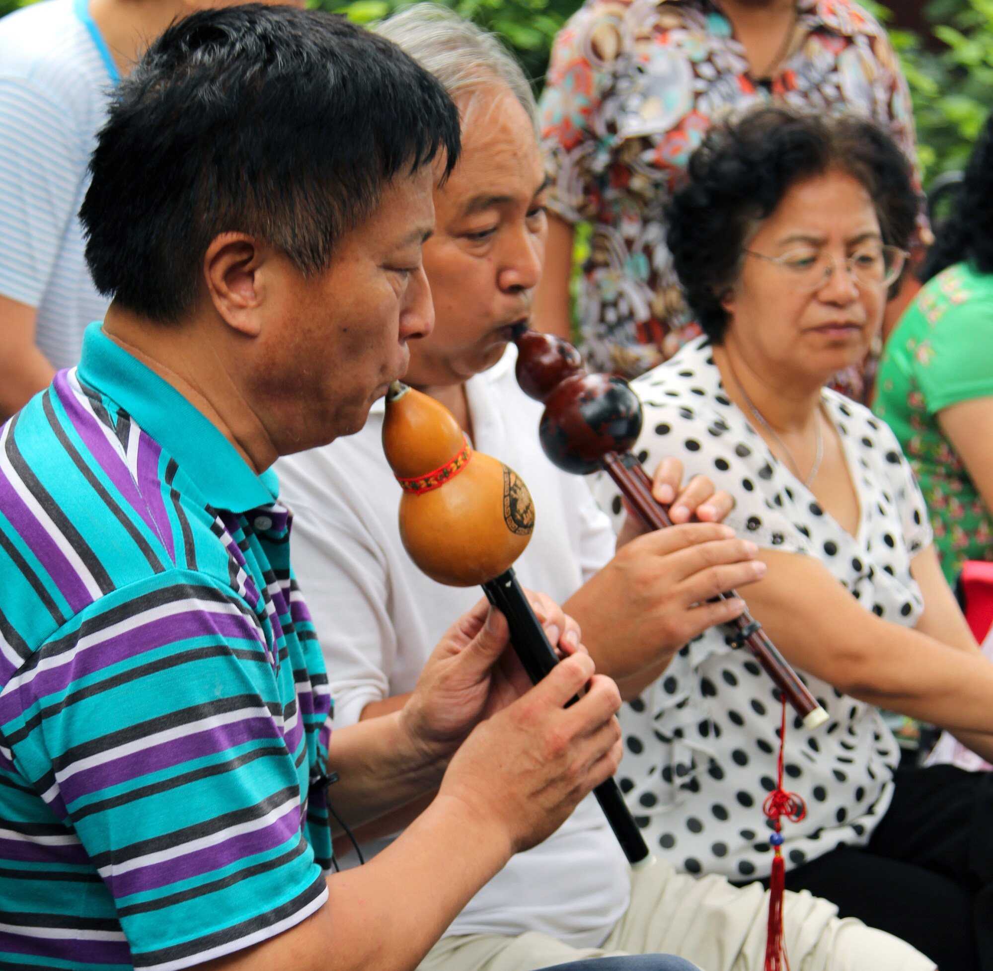 The calabash or bottle gourd produced wind instruments the ‘Chinese bagpipes’ and sheng, their sounds key to a modern Chinese orchestra. Photo: Shutterstock