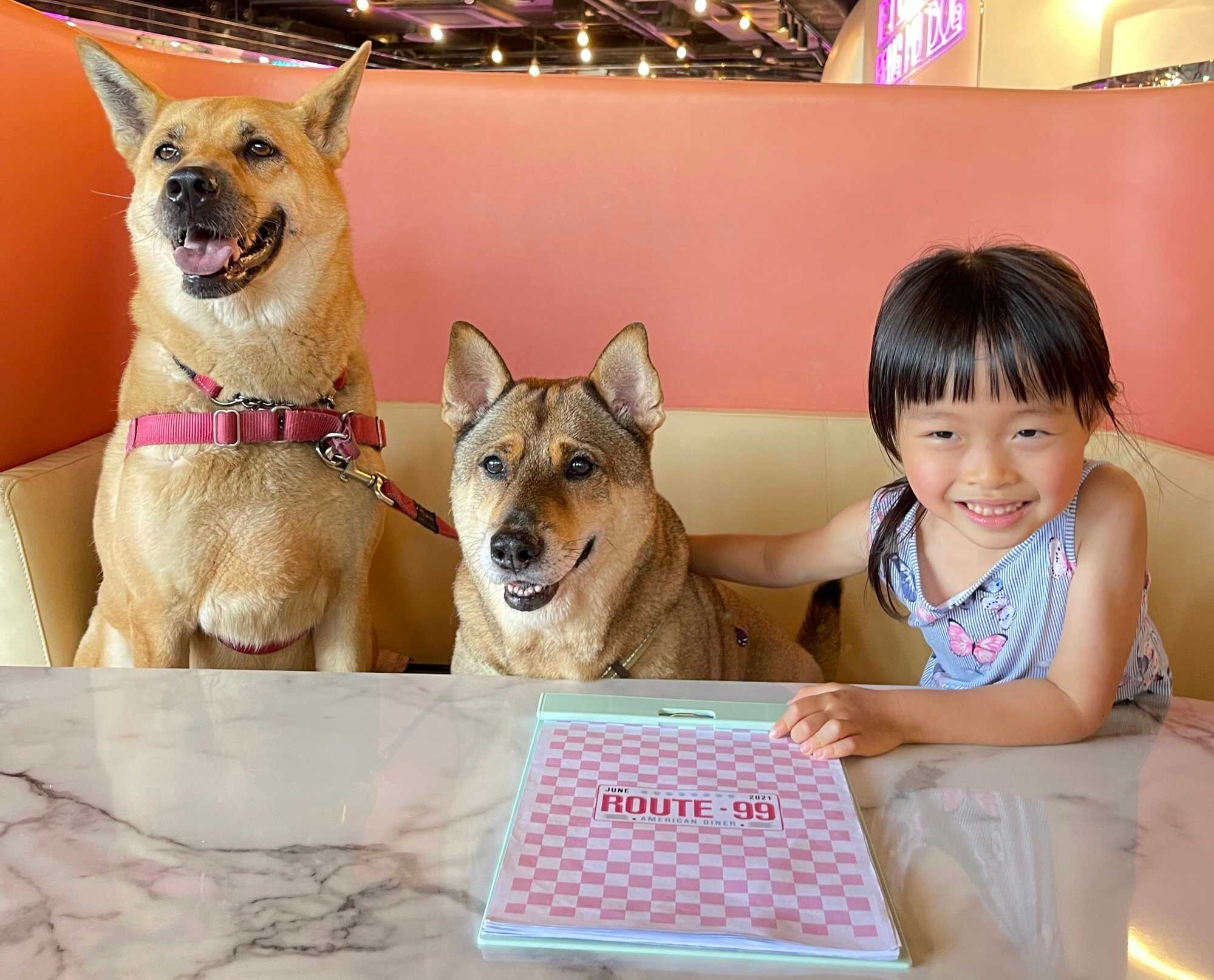 Sofi Ho Chi-yin loves her dogs QBB and QQB. Photo: Handout