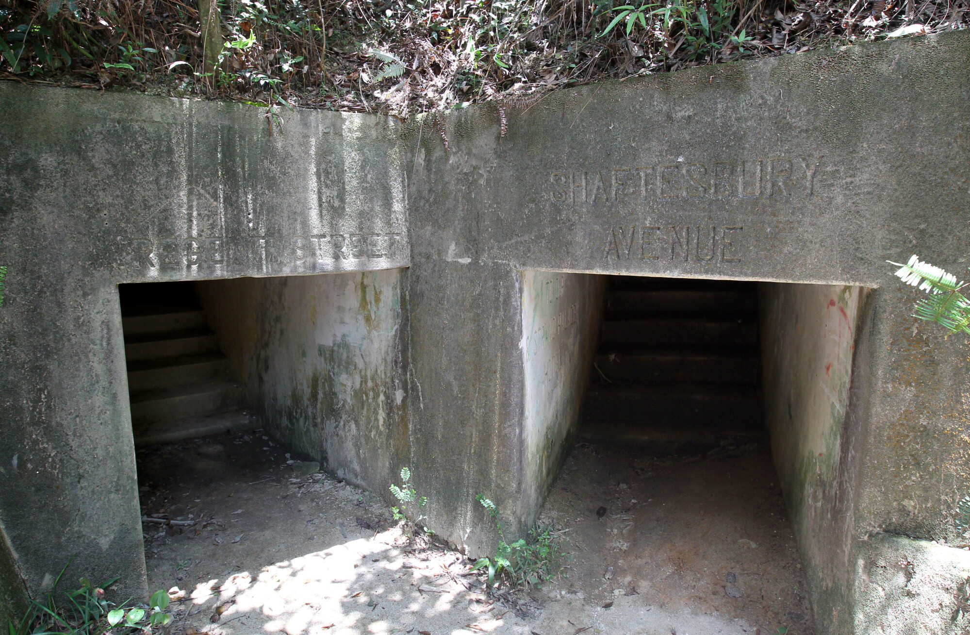 A tunnel in Shing Mun built by British Hong Kong soldiers to use against Japanese foces in the second world war. Photo: Dickson Lee
