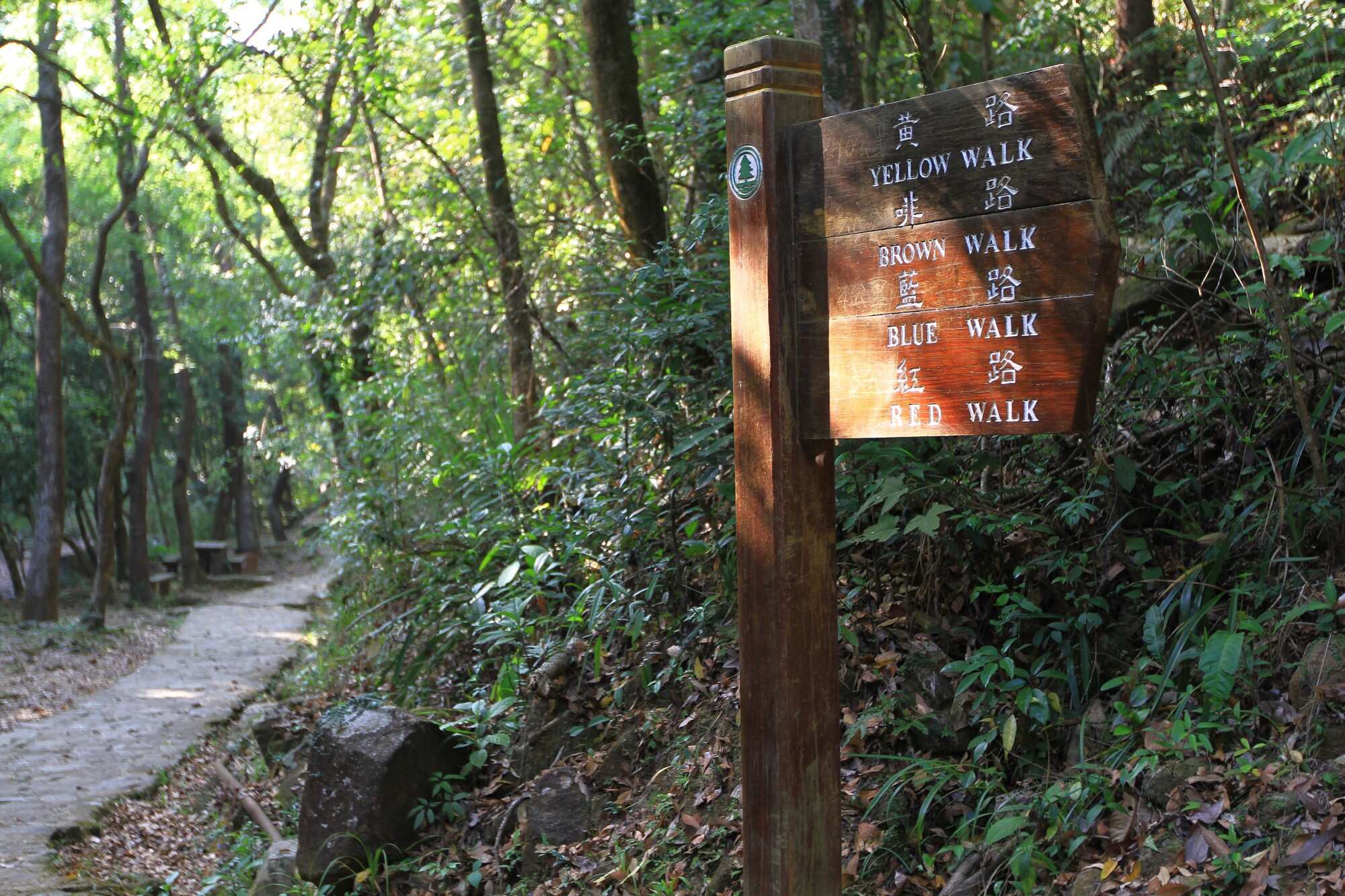 Tai Po Kau Nature Reserve boasts nine relatively easy trails, labelled by colour for your convenience. Photo: Shutterstock