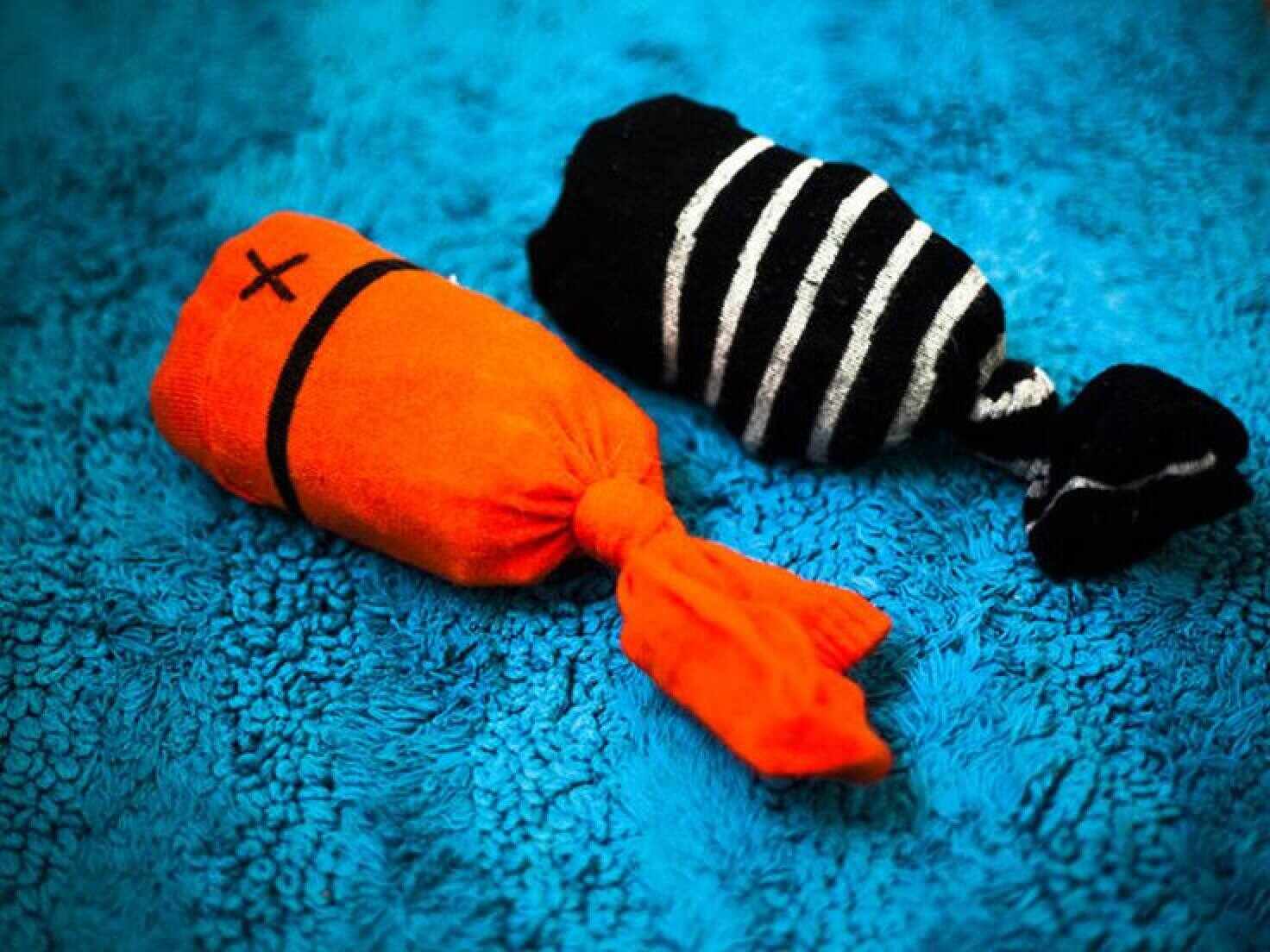Learn how to make a toy for your furry friend. Photo: Pinterest/kittyclysm