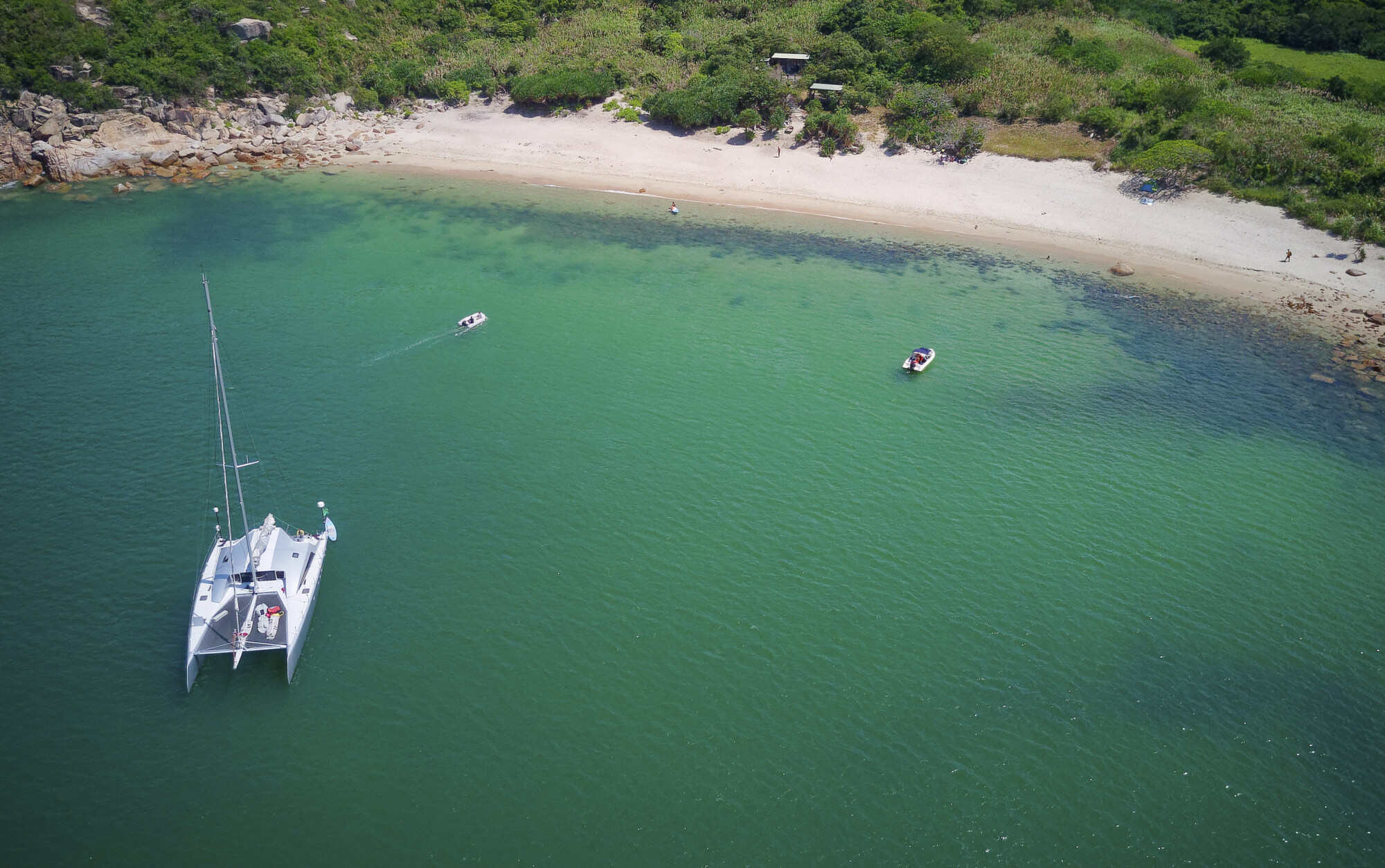 Hong Kong’s endangered green turtles can be found in Lamma Island’s southern waters. Photo: Martin Williams