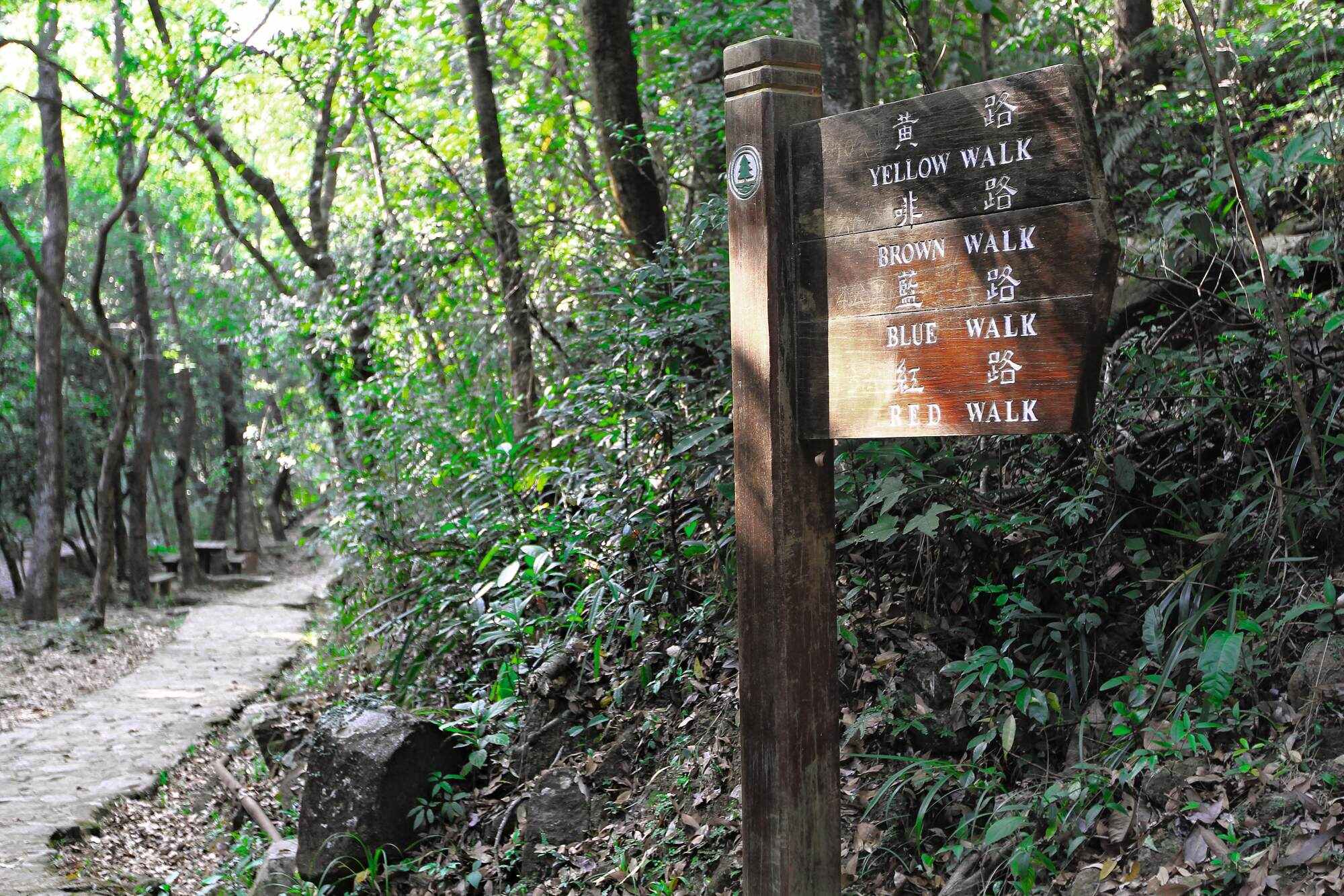 Tai Po Kau Nature Reserve boasts nine relatively easy trails, labelled by colour for your convenience. Photo: Shutterstock