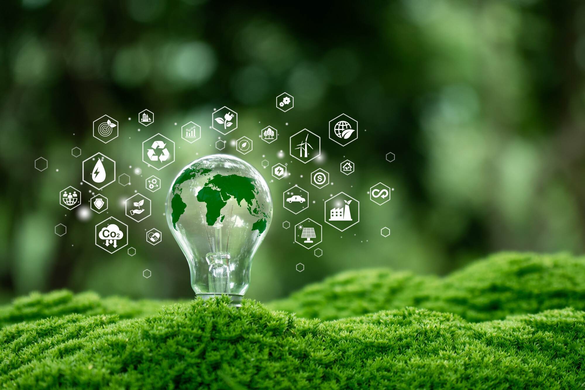Many Hongkongers agree that the city should prioritise the development of renewable energy sources. Photo: Shutterstock
