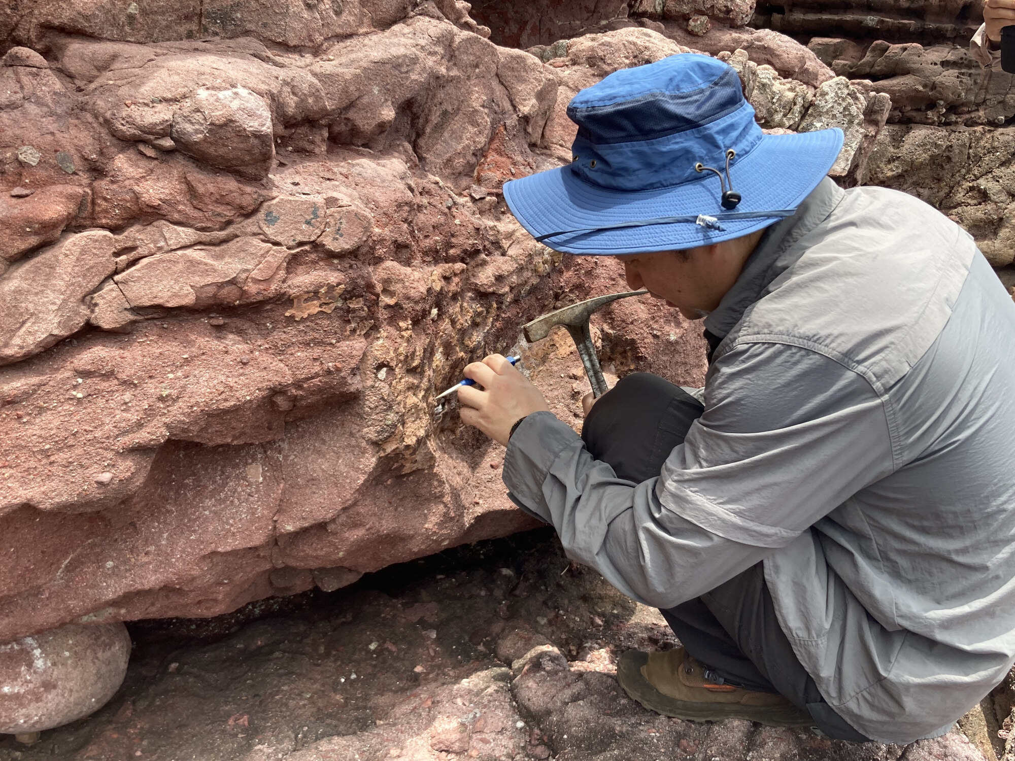 Experts have unearthed more than 30 fossils from Port Island. Photo: Handout