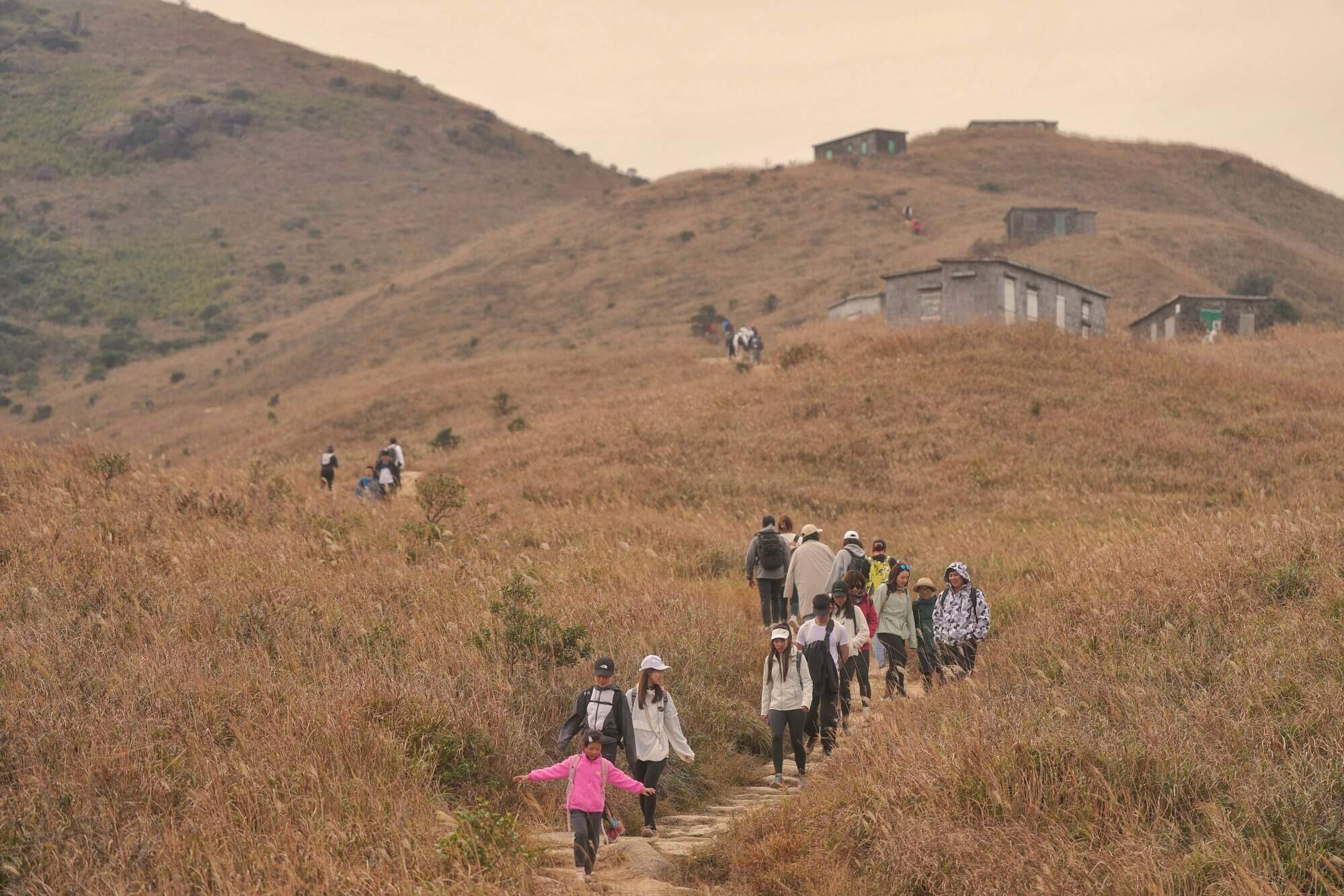Hikers walk along the Sunset Peak trail on Lantau Island with Chinese silvergrass in winter. Photo: Elson Li