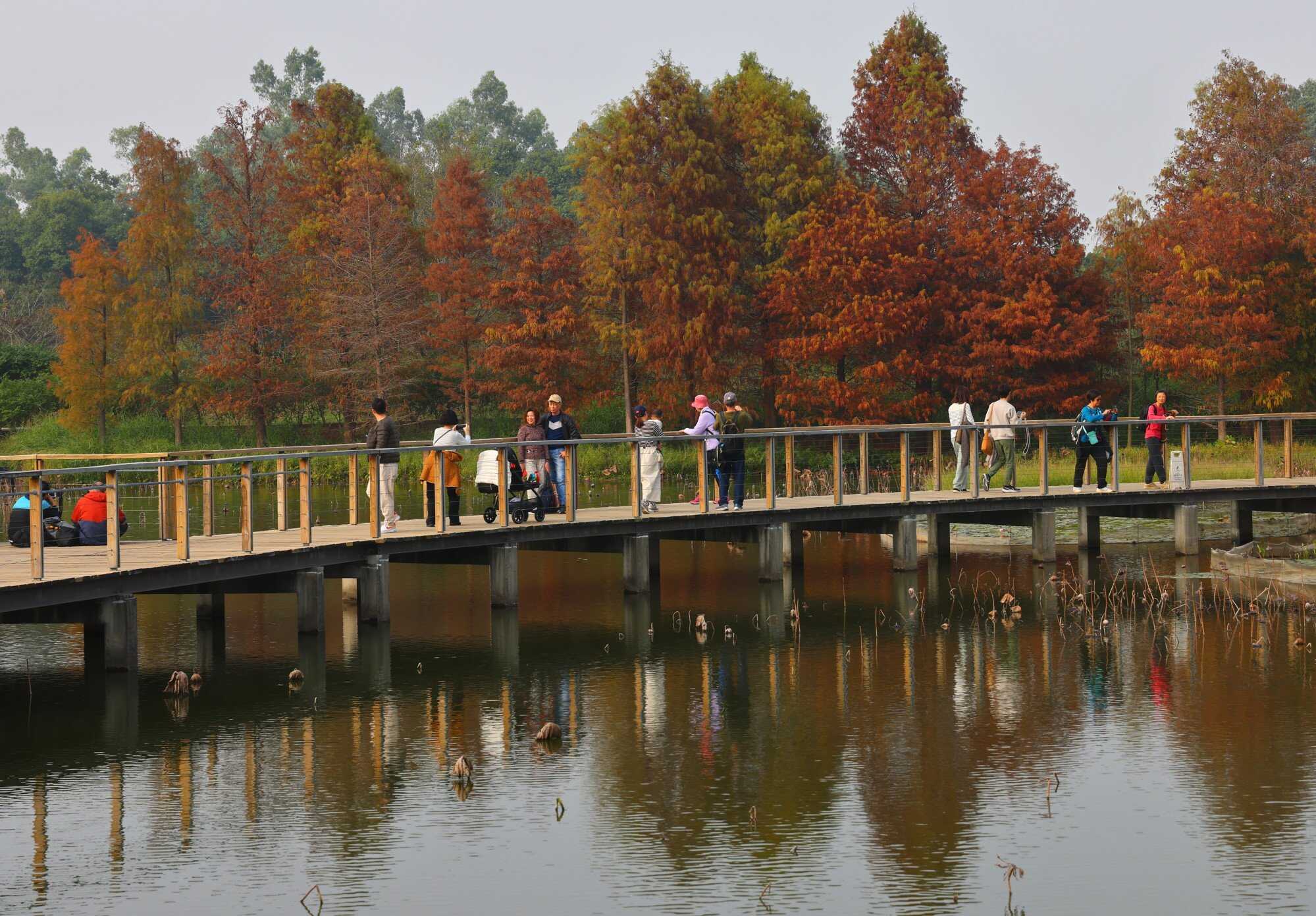 Top 5 activities you should do in Hong Kong during winter | Young Post Club