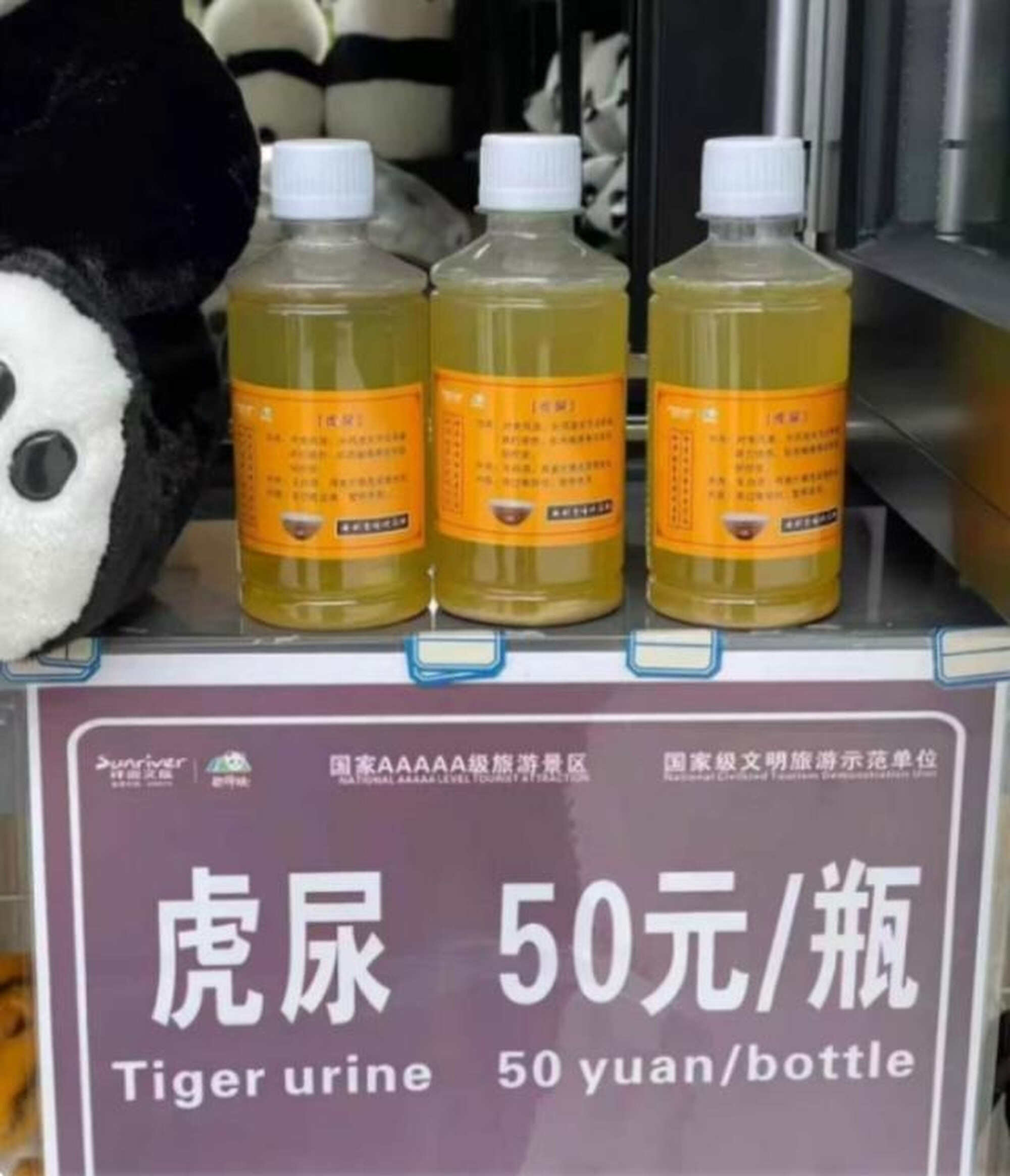 Despite a lack of scientific evidence, a zoo in China is selling tiger urine, prompting concerns about animal welfare and the misuse of traditional Chinese medicine. Photo: SCMP