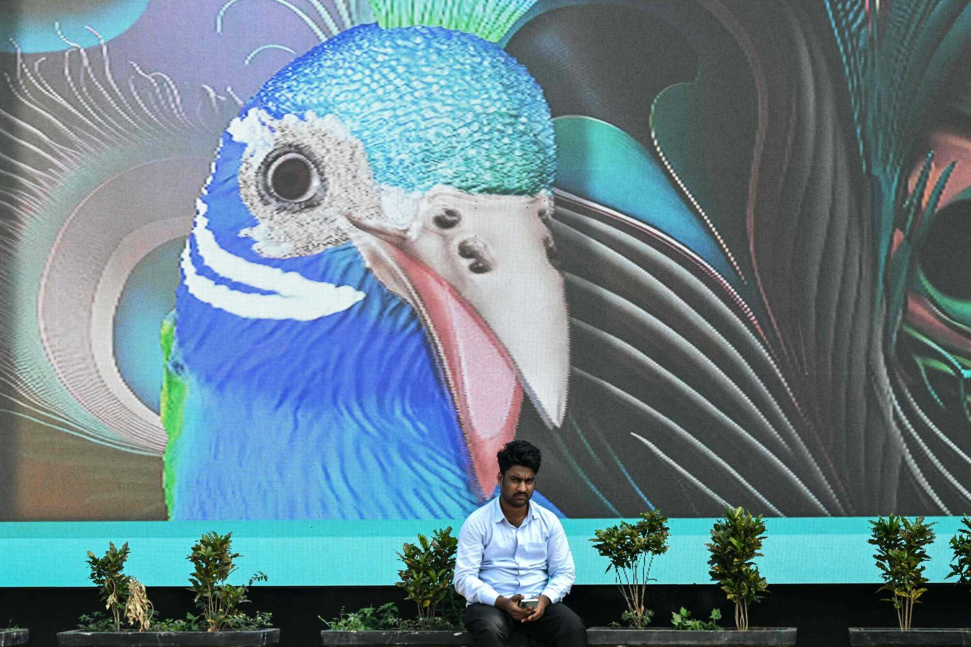 A commuter waits for his bus at a bus stop in Mumbai, India. Photo: AFP