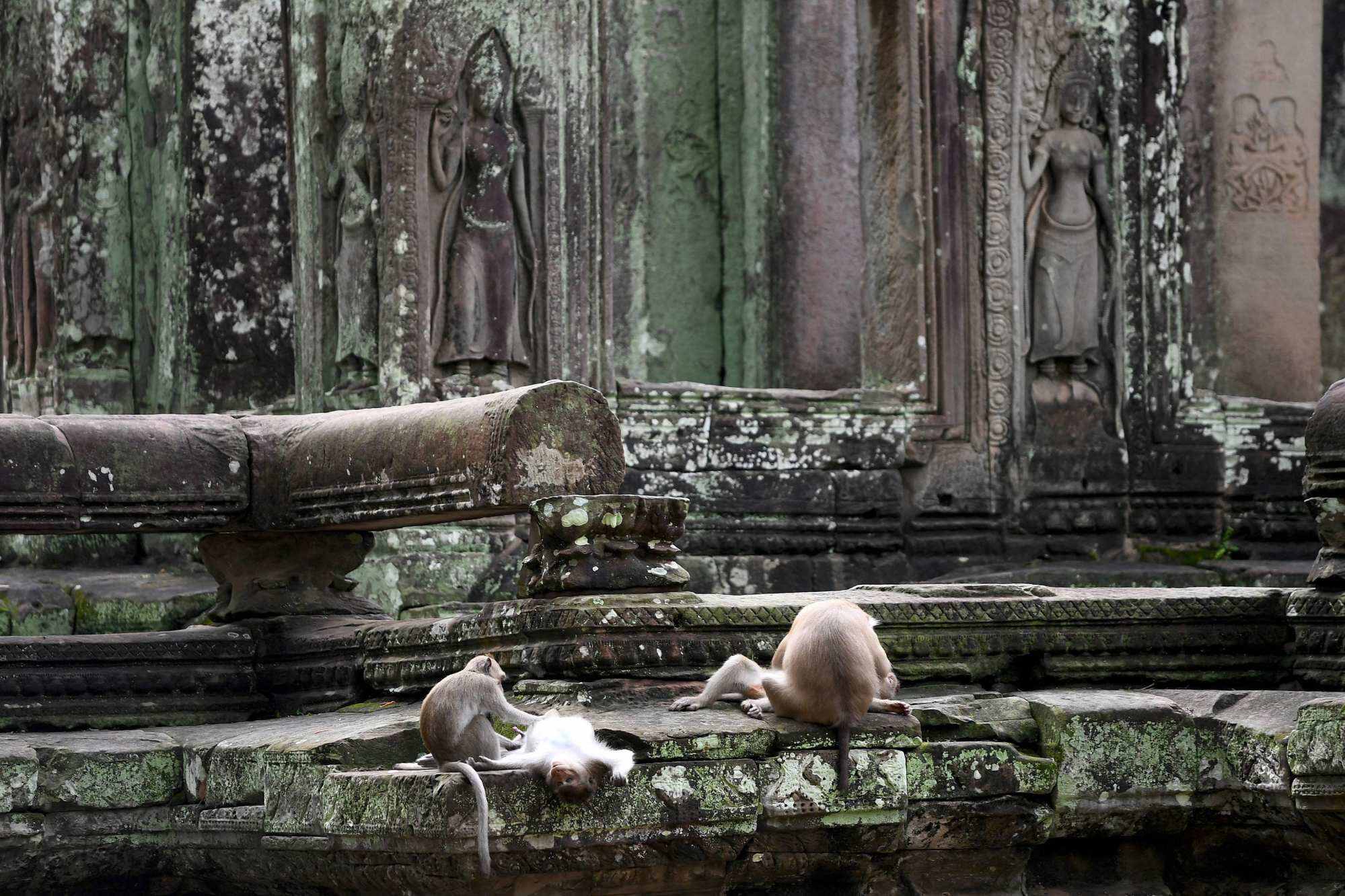 The APSARA National Authority is seeking a solution to protect both tourists and the ancient ruins. Photo: AP