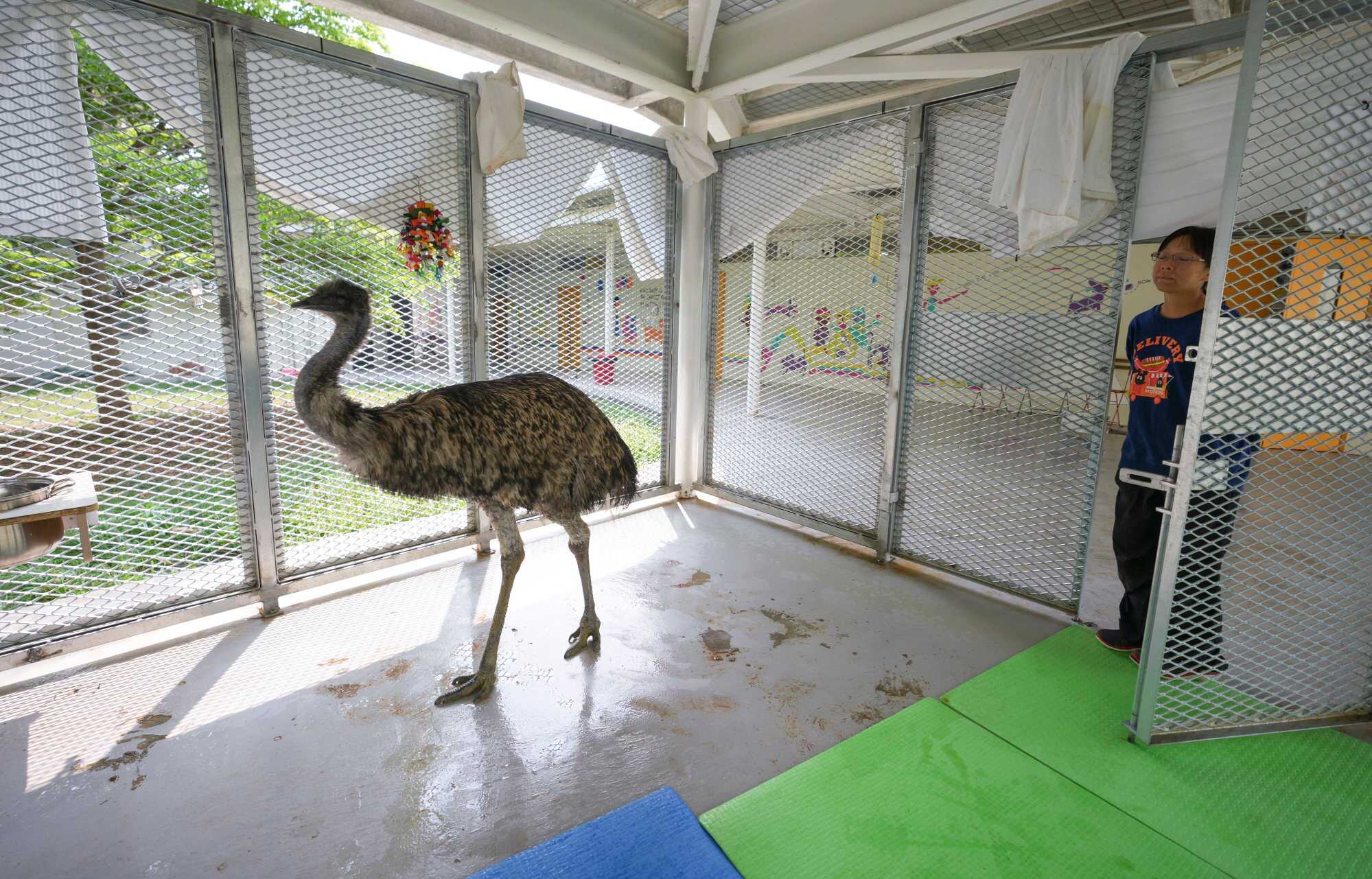 Miu Miu has been described as “picky and temperamental”. Photo: Sam Tsang