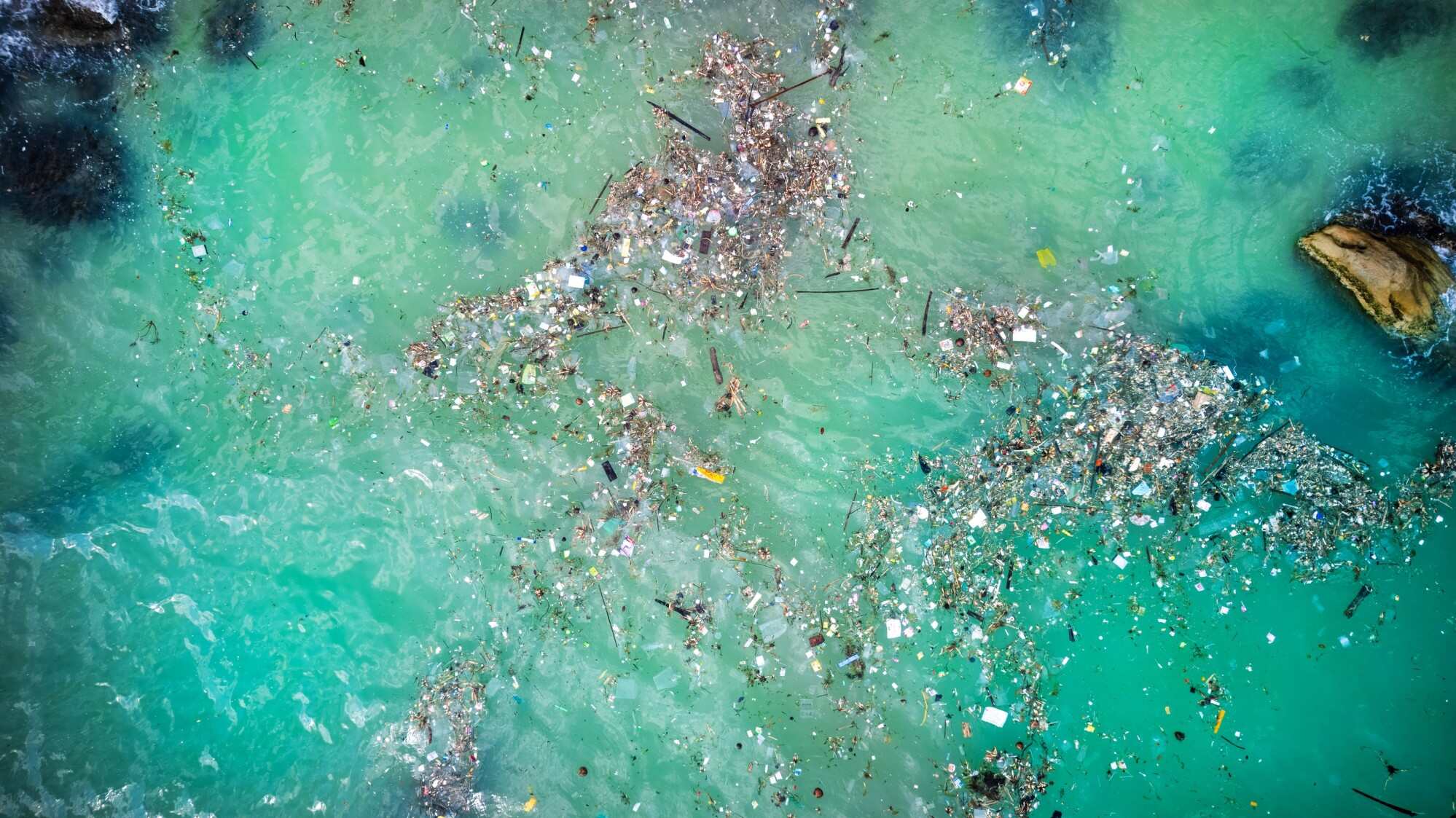 Adhit Ranjan’s inspiration for WasteShark – which collects waste from the ocean – came from his evening walks along Repulse Bay Beach. Photo: Shutterstock