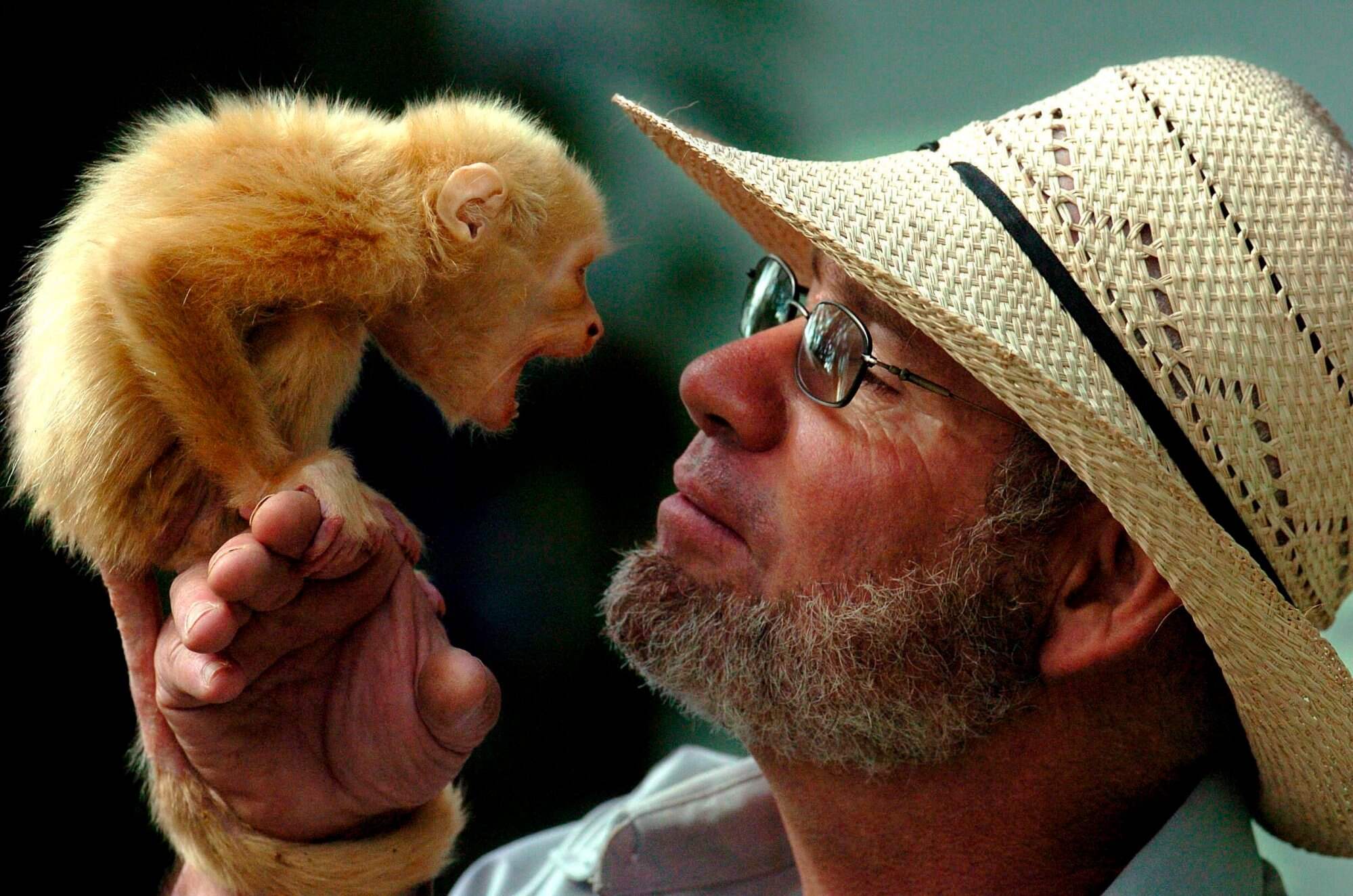 Eduardo Sacasa, president of the Zoo Friends Foundation, holds an albino congo monkey at the National Zoo of Nicaragua back in 2007. Photo: EPA-EFE