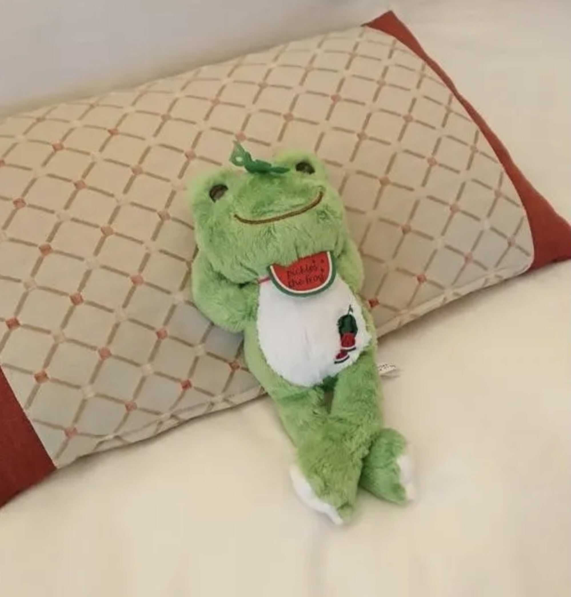 This toy frog is clearly enjoying his stay. Experts say the cuddly companions offer their owners comfort. Photo: QQ.com