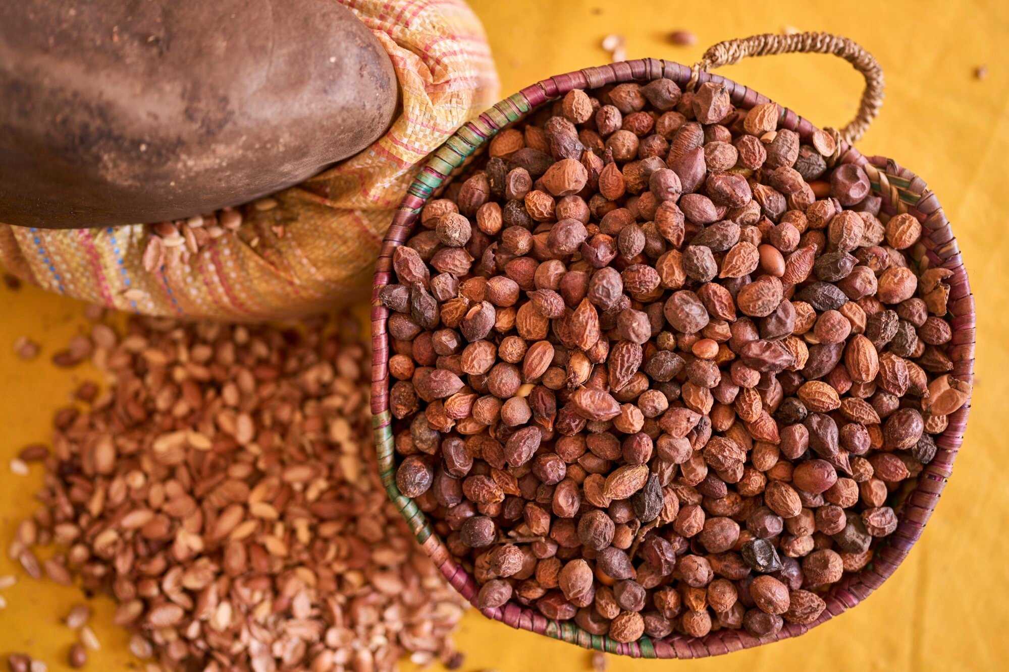 Argan seeds are placed in a basket after getting cracked at a cooperative that extracts and produces argan oil. Photo: AP