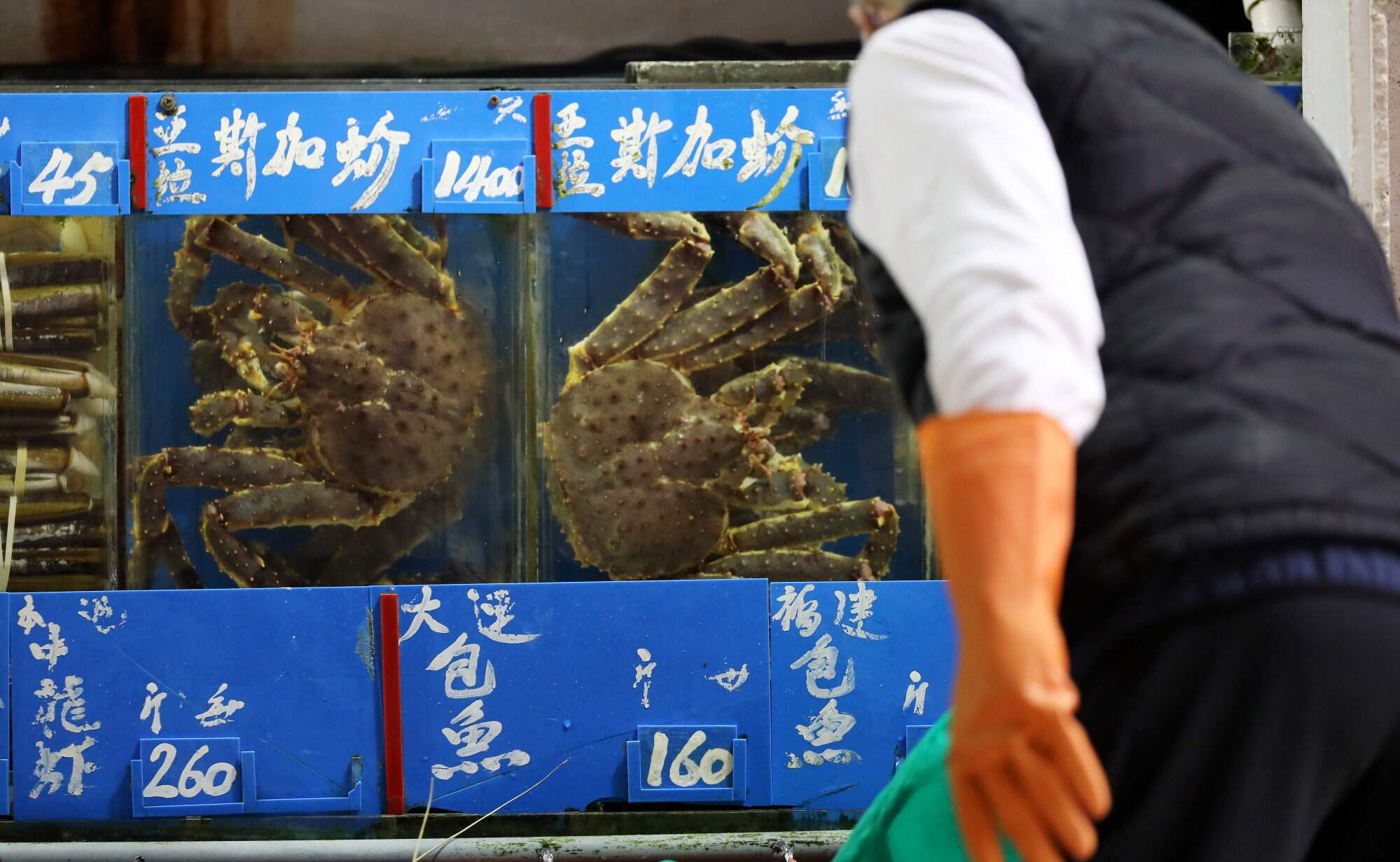 Live Alaskan king crabs at a seafood shop in Wan Chai. Photo: Nora Tam