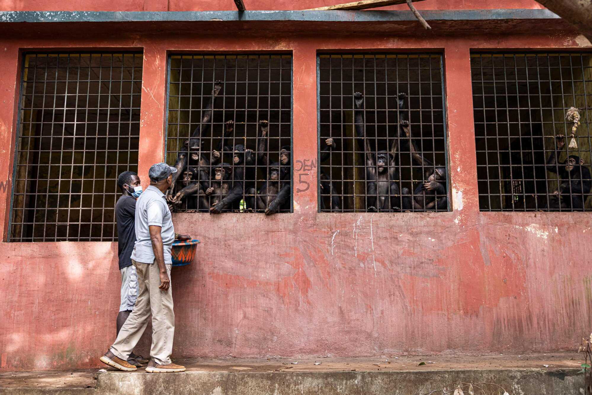 The sanctuary’s closure also means there will be no revenue from visitors at a time when USAID funding has been halted. Photo: AFP
