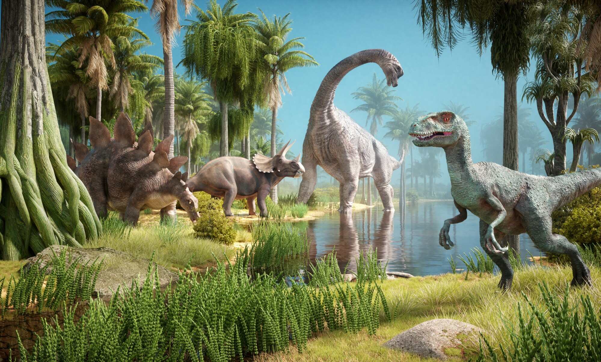 Some dinosaurs lived in places with lots of greenery. Photo: Shutterstock