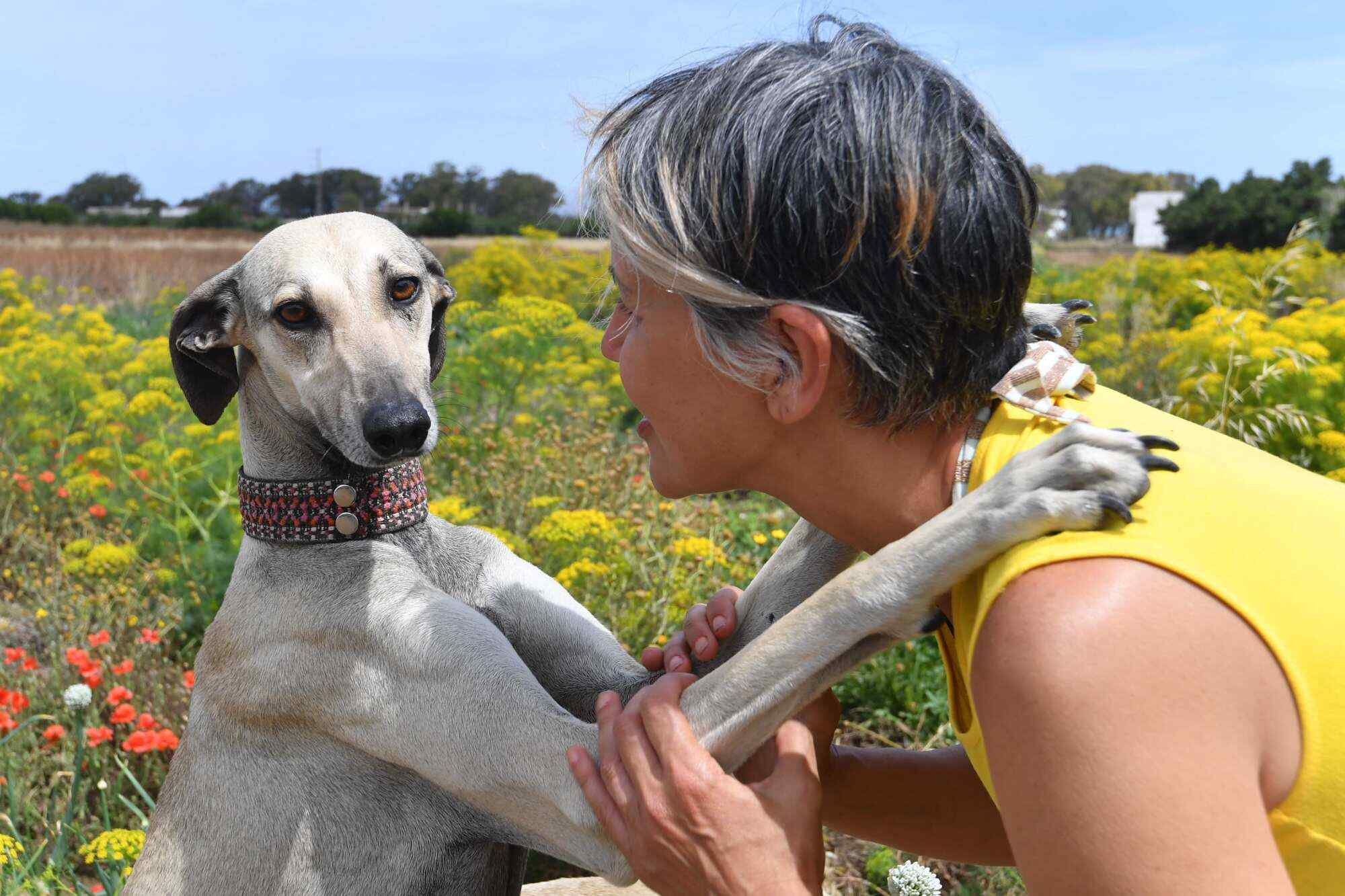Veterinarian Olfa Abid with one of her Tunisian Sloughi hunting dogs. Photo: AFP
