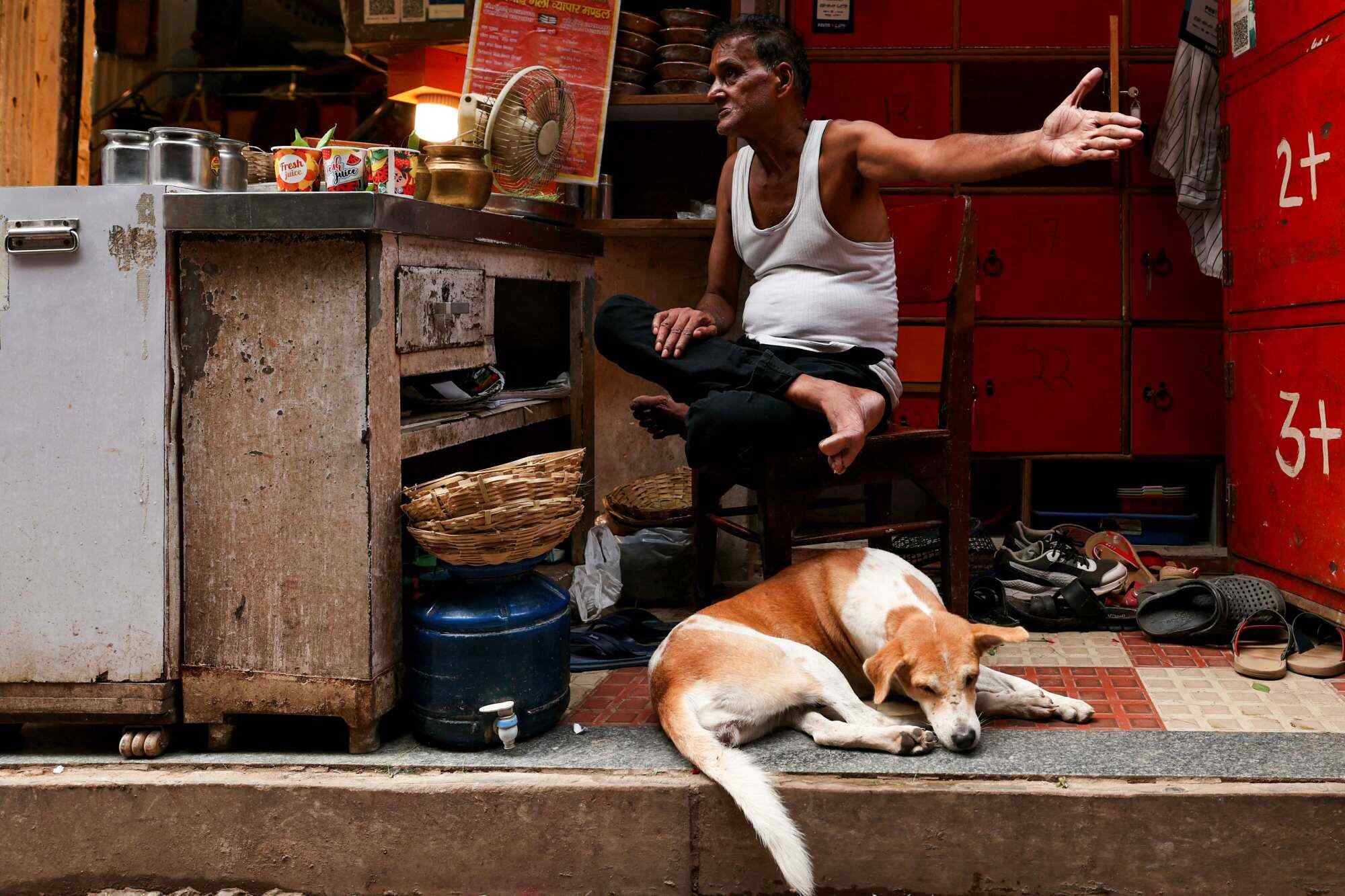 A stray dog sleeps next to a vendor selling religious offerings, along a lane in Varanasi, India. Photo: AFP