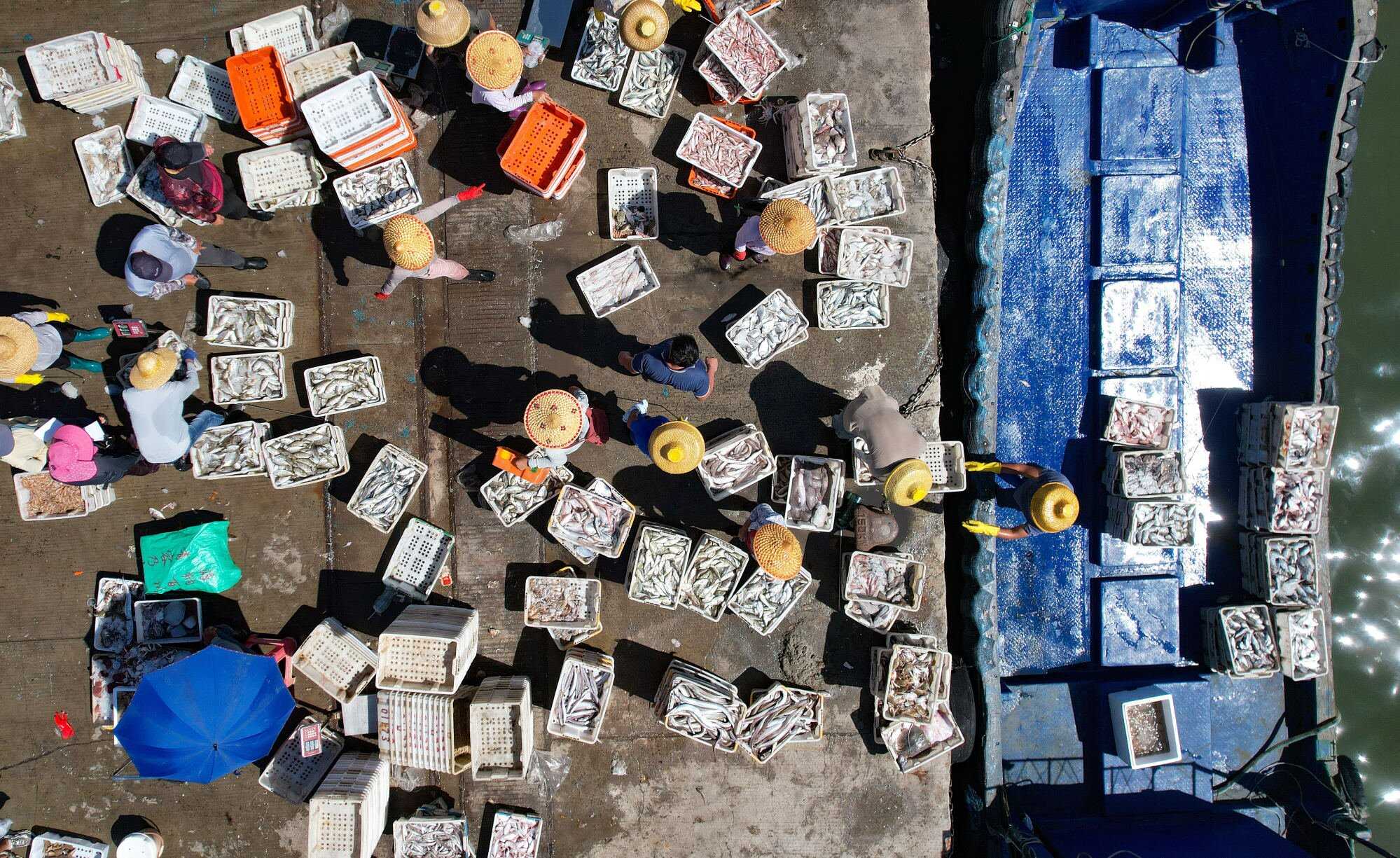 Catches being unloaded and traded at a fishing port in Wenchang, in China’s southern Hainan province. Photo: Xinhua