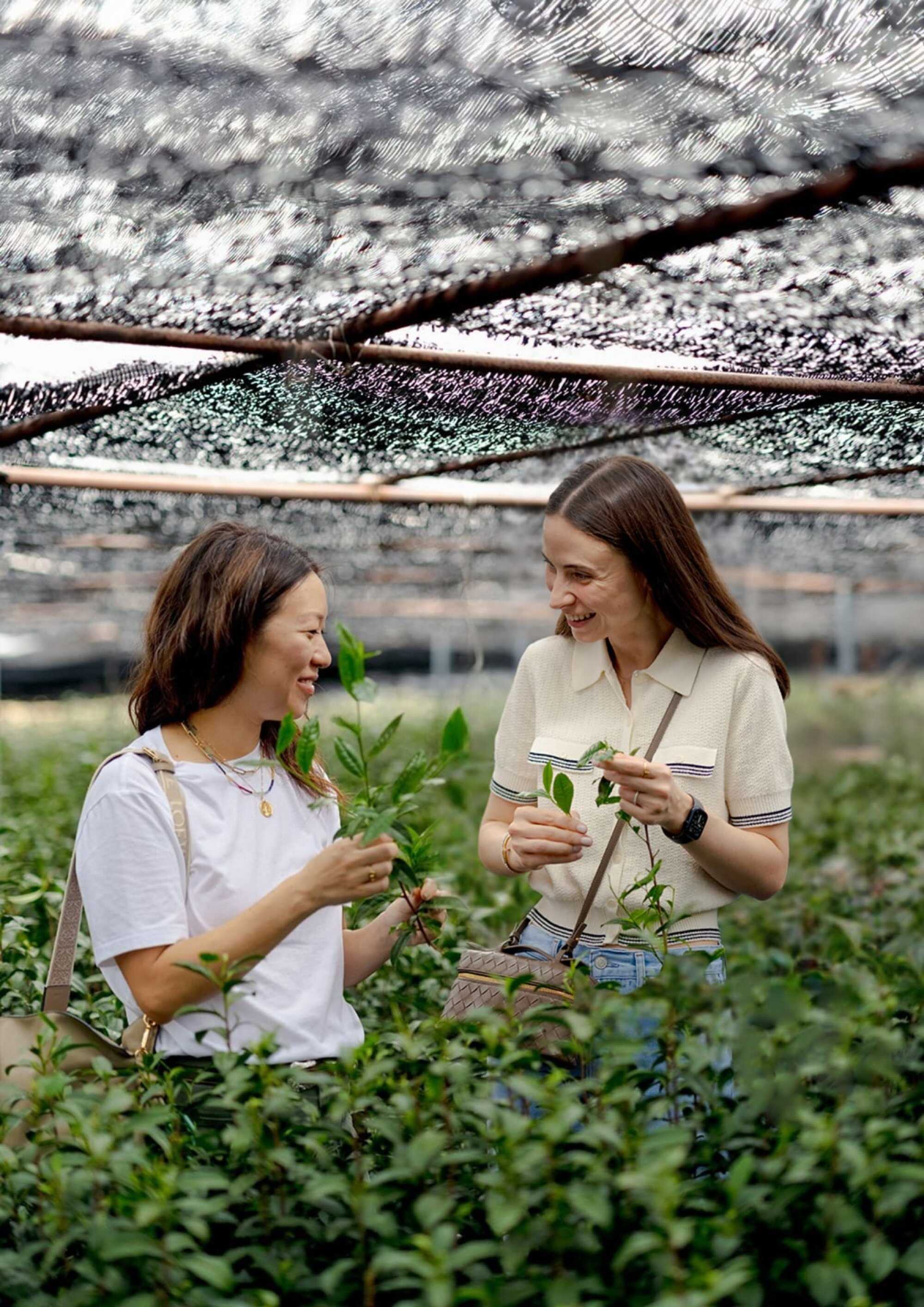 Matchali co-founders Laura Li (left) and Cara Li (right). Photo: Handout