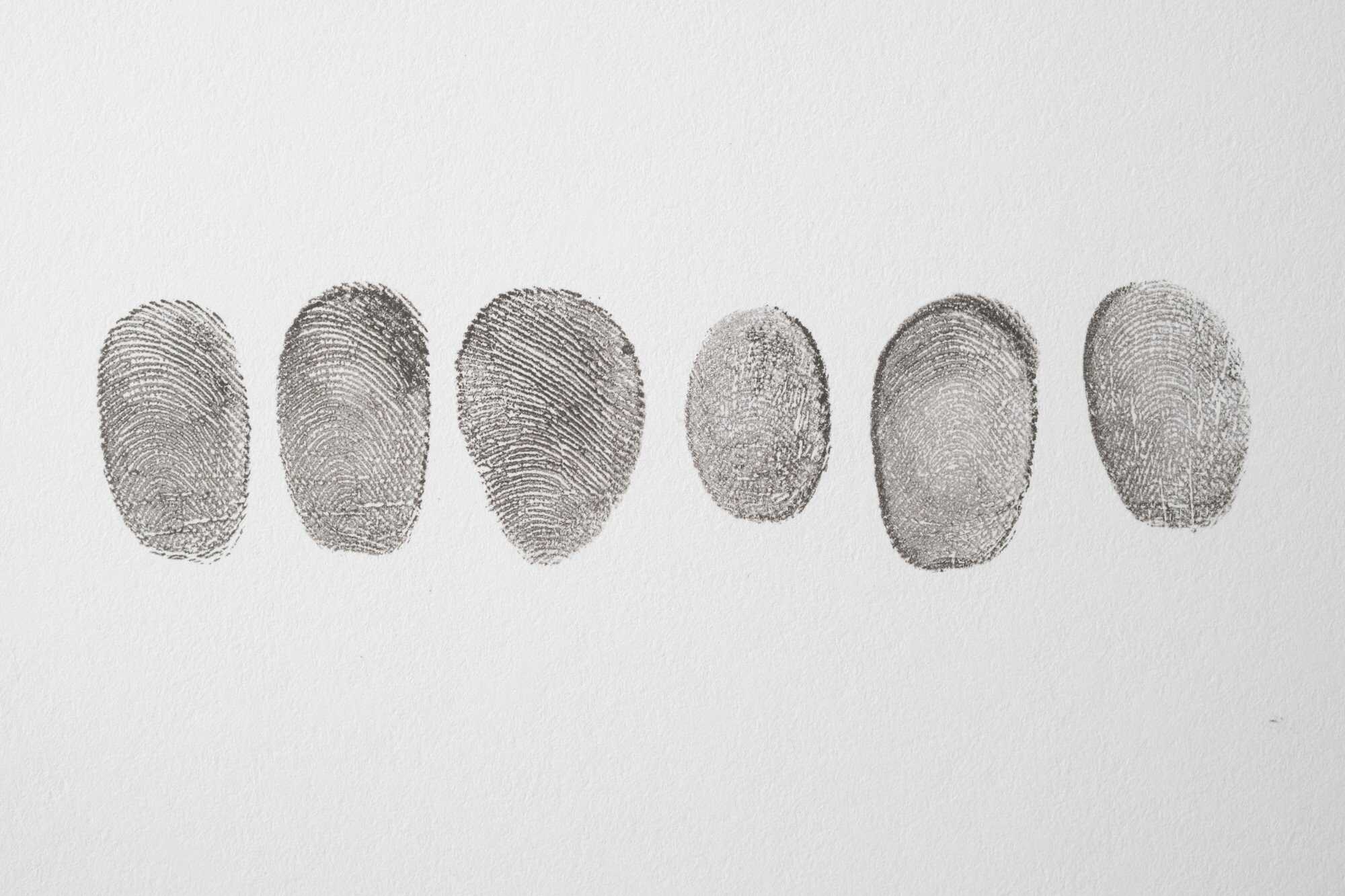 Each one of us has our own unique fingerprints, even identical twins! Photo: Shutterstock