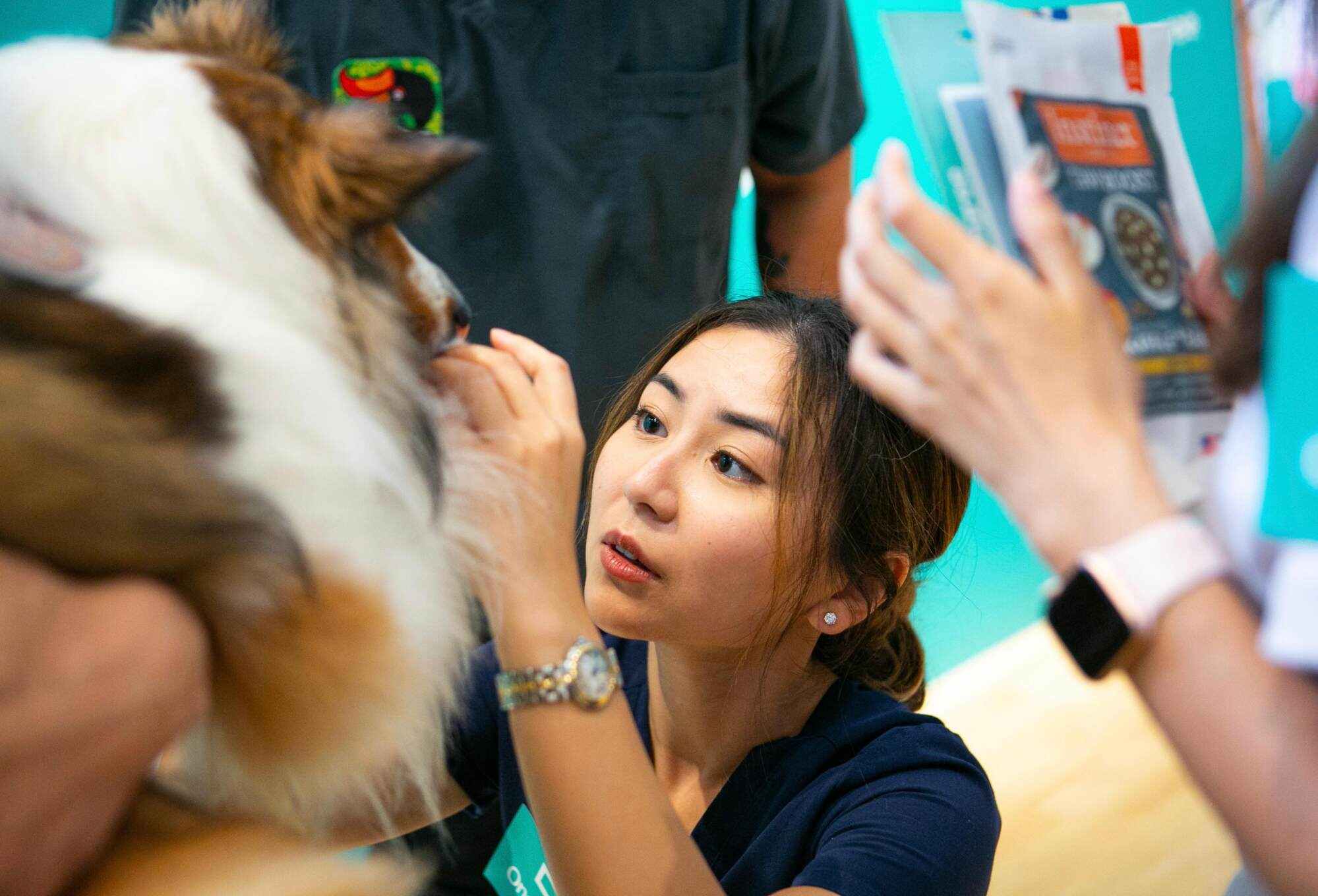 Dr Ngo advises considering animal shelters and understanding each pet’s unique needs for a happy, healthy companion. Photo: Handout