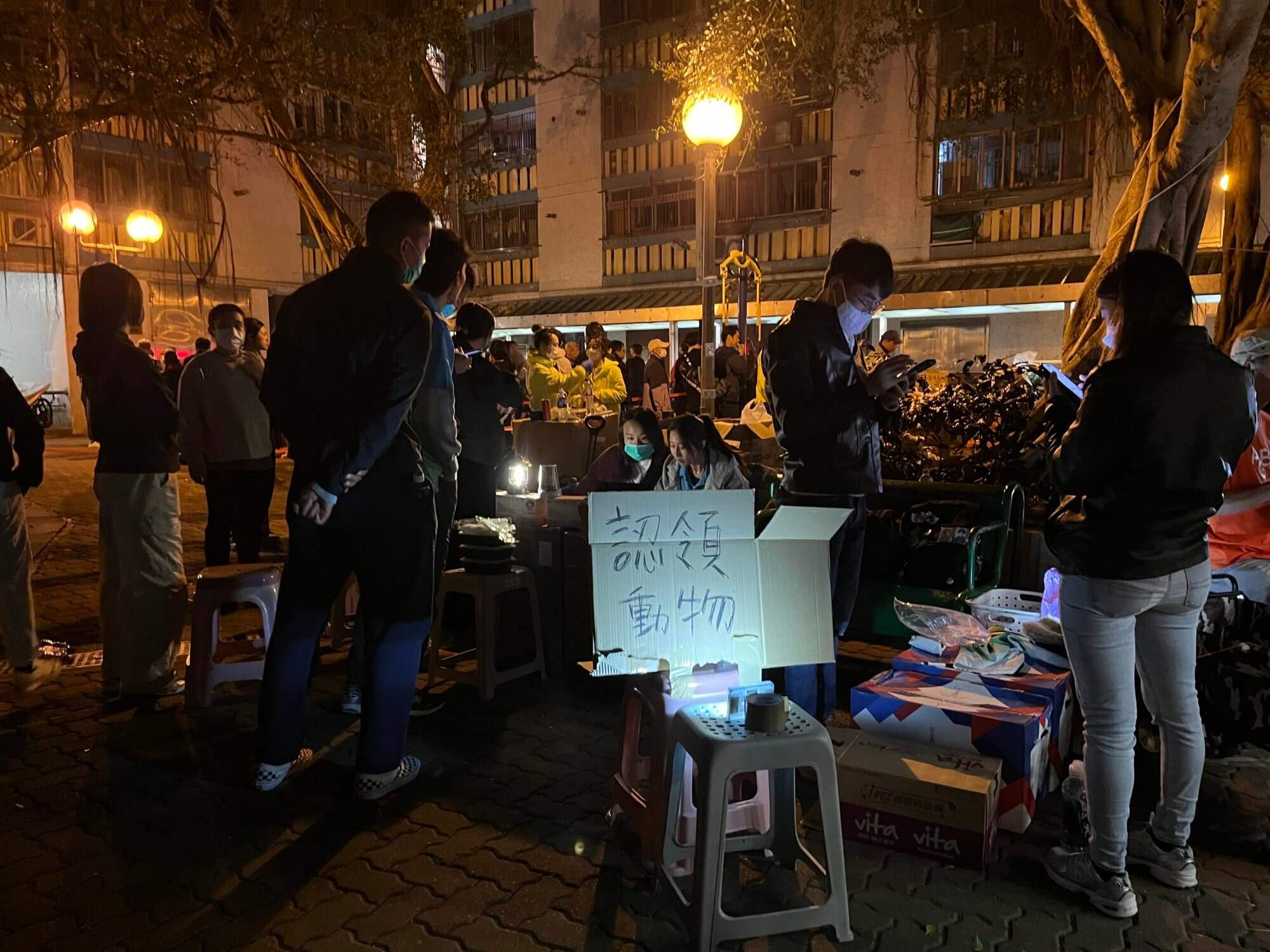 A placard at this open space in Kwong Fuk Estate reads “claim your pet”. Photo: Kelly Fung