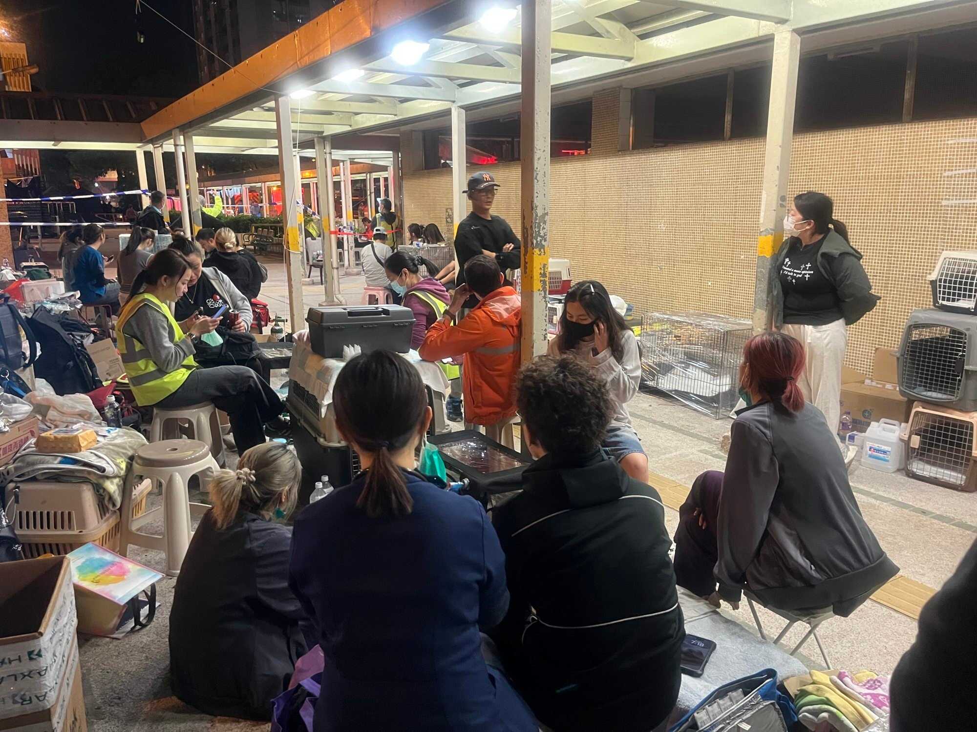As the fatal inferno ripped through Wang Fuk Court, dozens of pet owners huddled in the cold. Photo: Kelly Fung